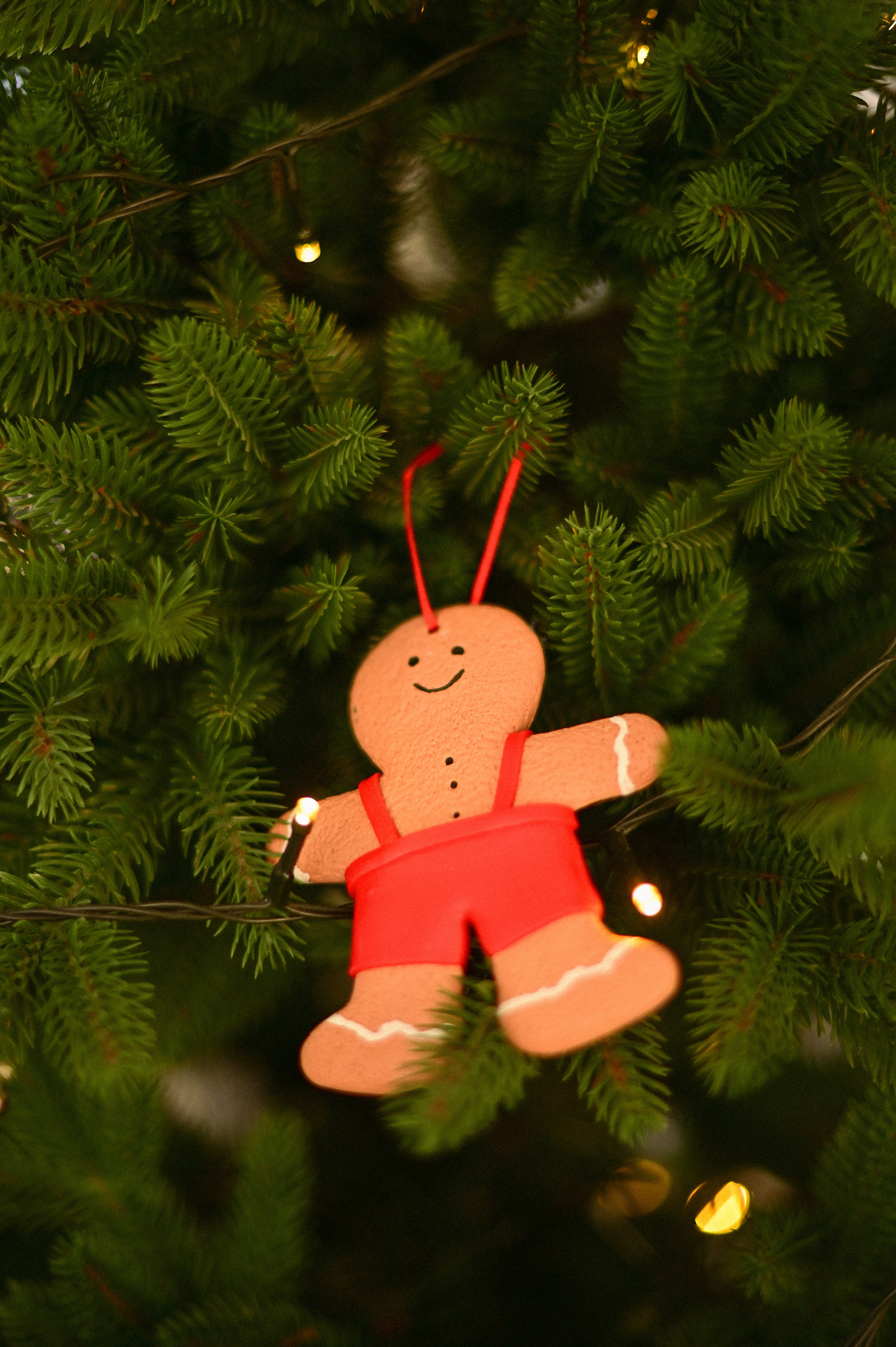 Green Dacha. Олеся. Фотограф | Ирина Гамзинова | Москва