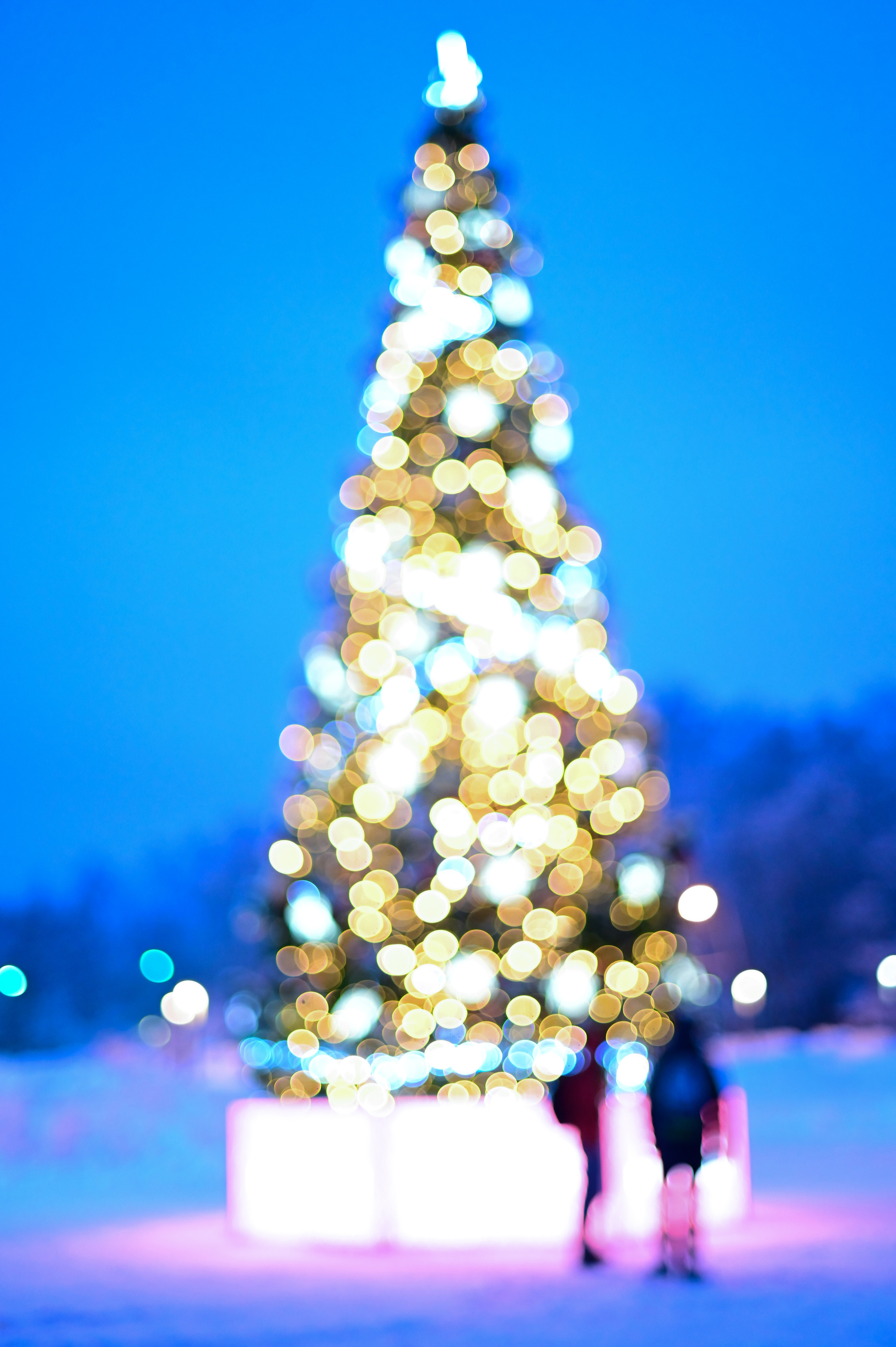 Sat9am5km Кузьминки (31.12.22). Фотограф | Ирина Гамзинова | Москва