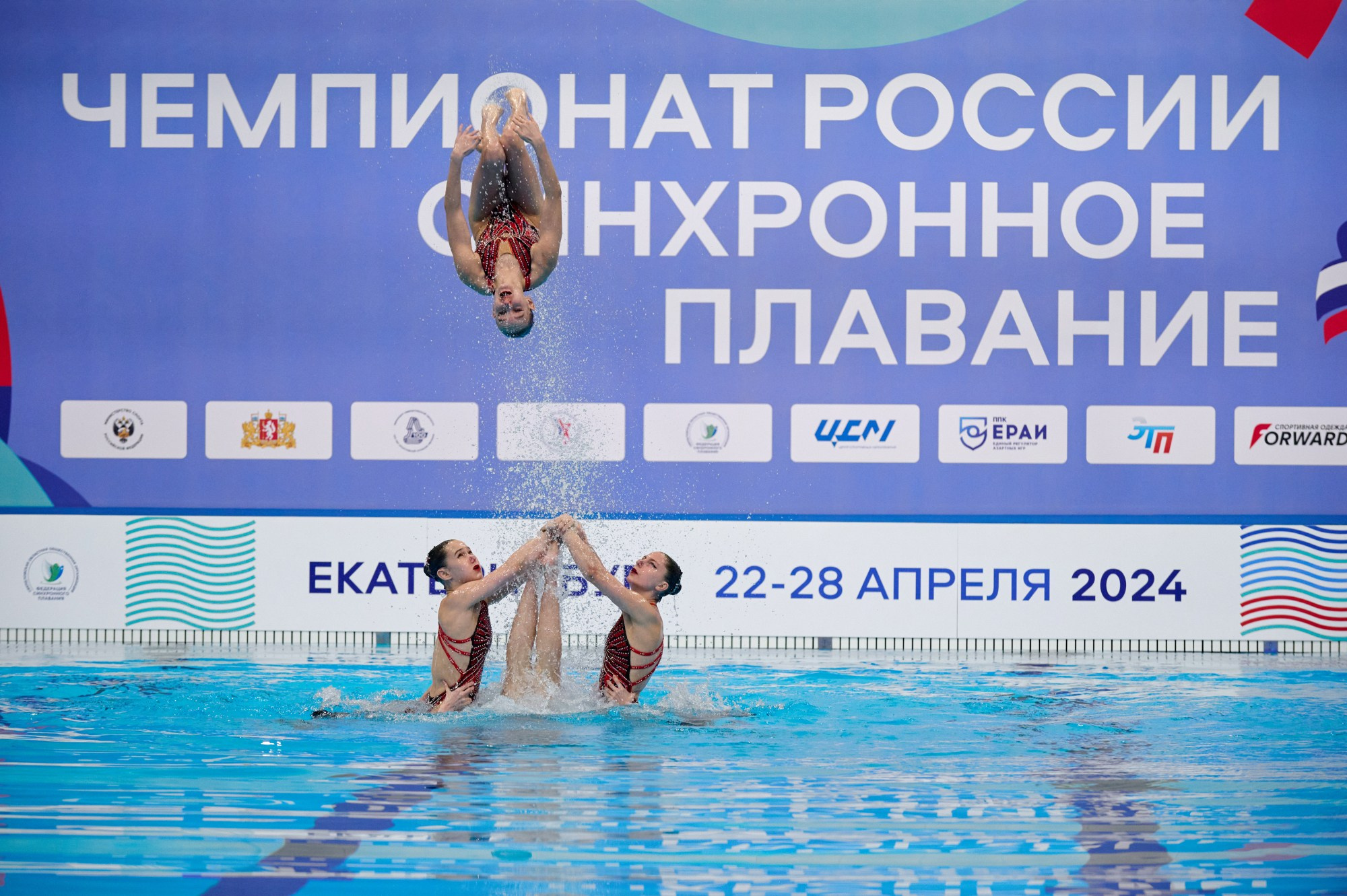 Чемпионат России Синхронное плавание 2024. Мезенцев Евгений фотограф