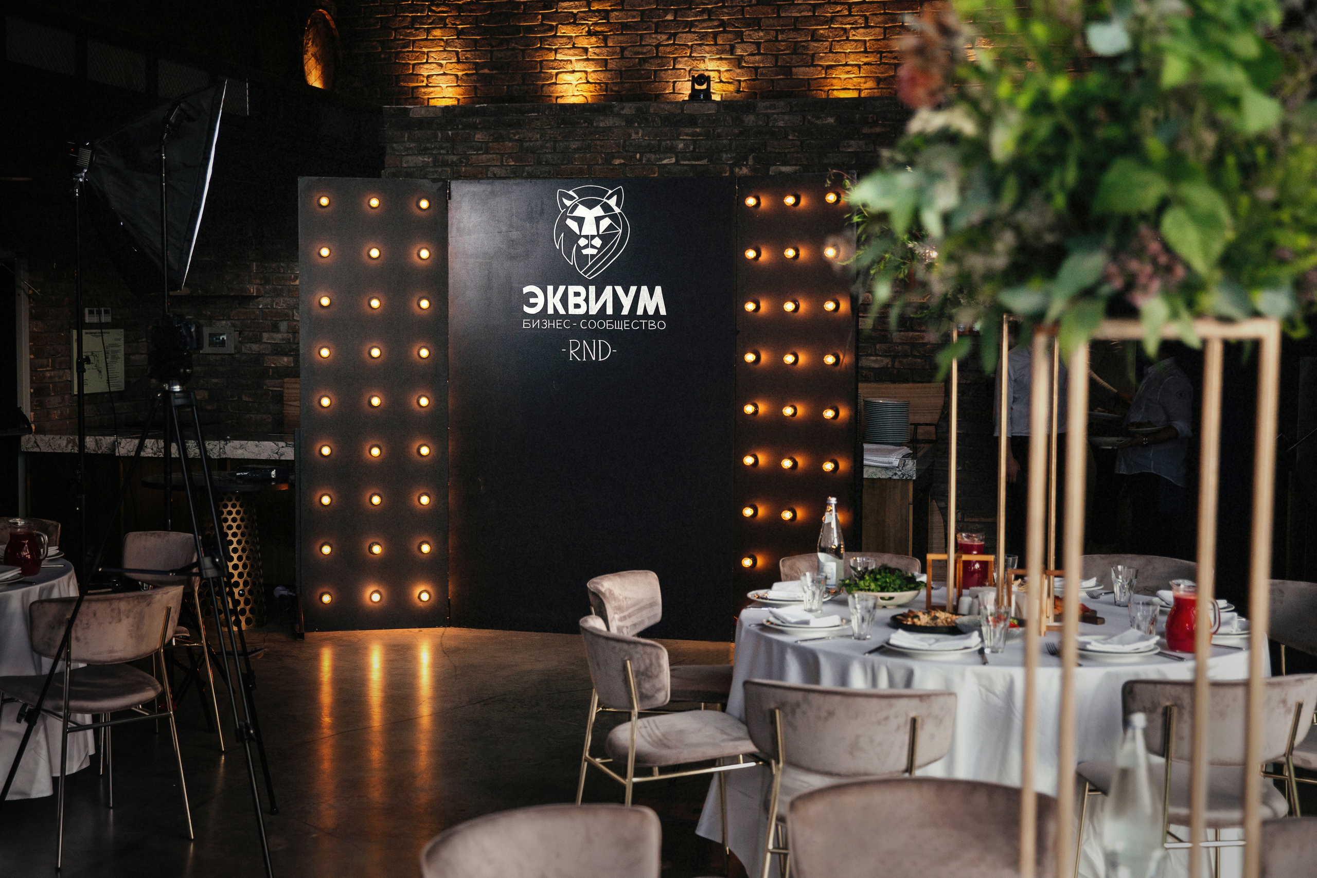 Эквиум. Свадебный фотограф в Ростове-на-Дону Олег Майер