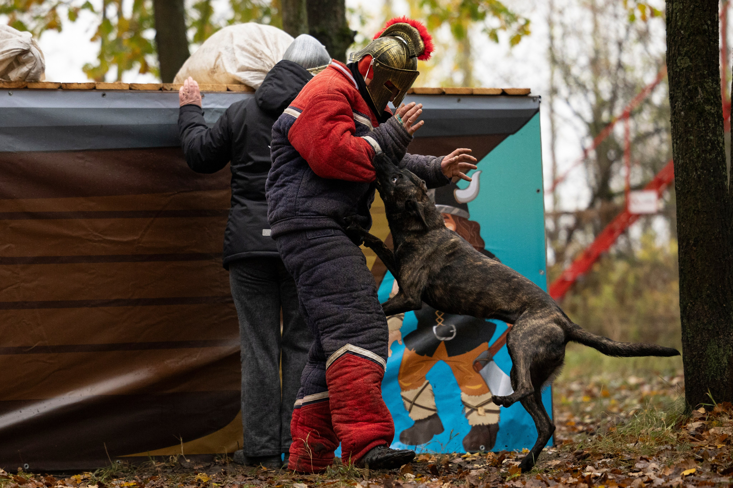 Соревнования по Мондьорингу г. Вологда. Фотограф-анималист Анна Маринич