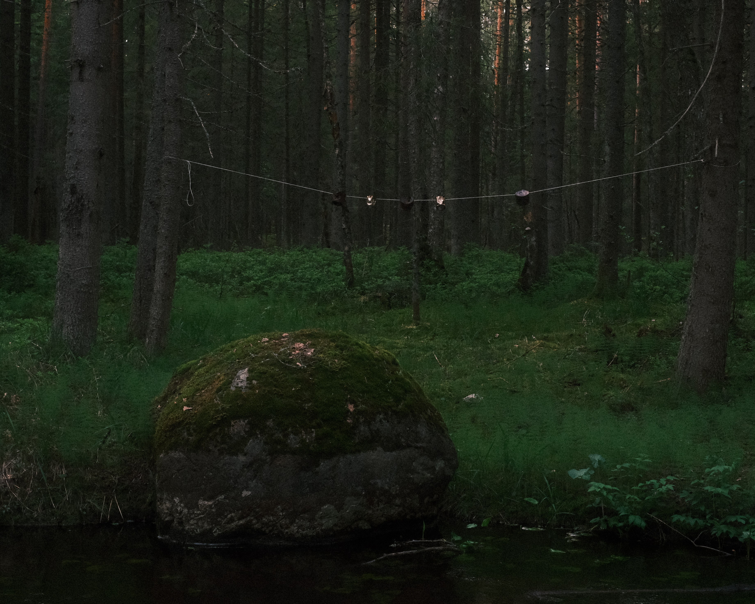 Орехово | май 2025