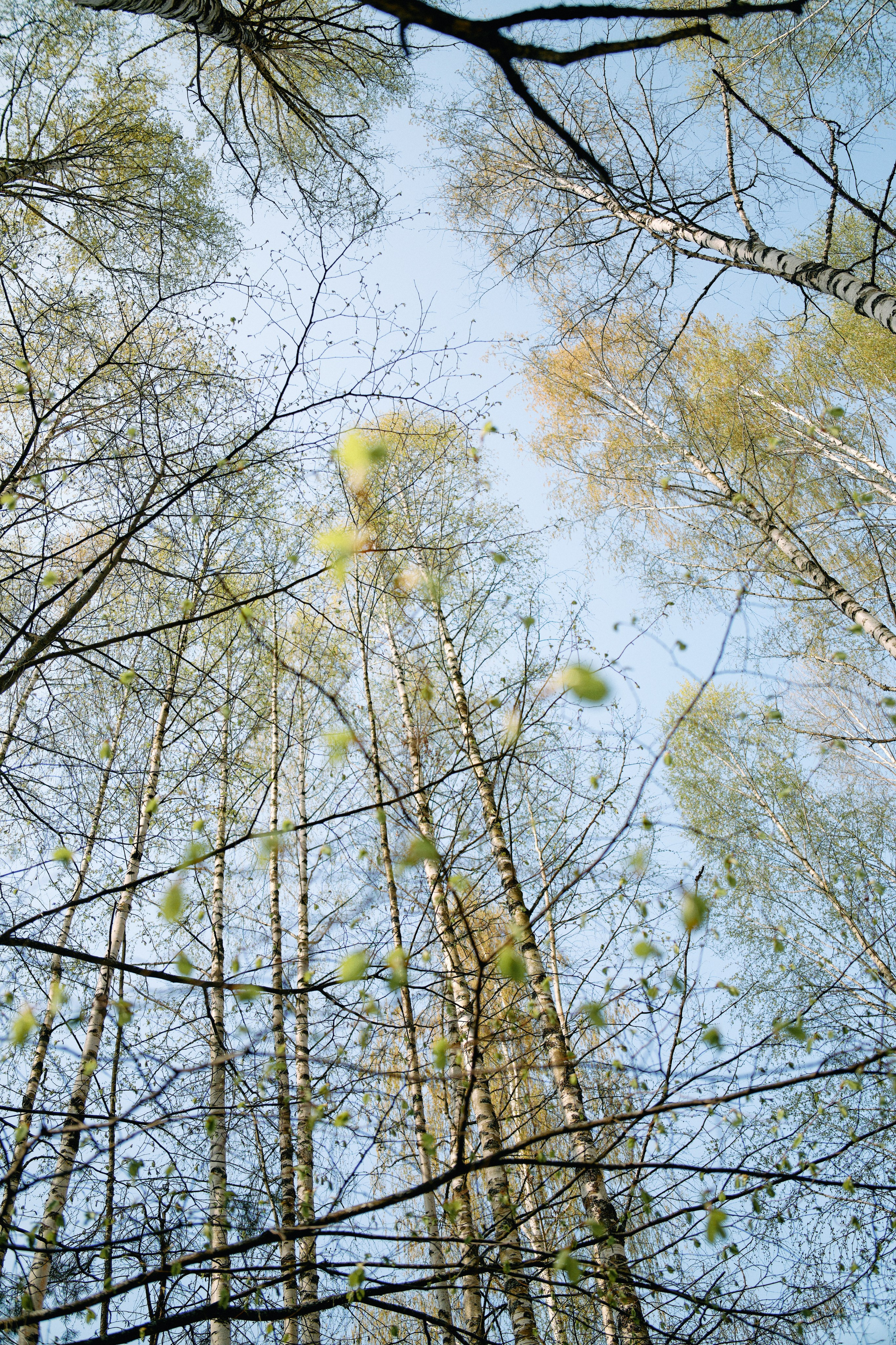 Бутик-отель Поле летом. Профессиональный Фотограф во Владимире, в Москве и в Суздале — Полина Романычева