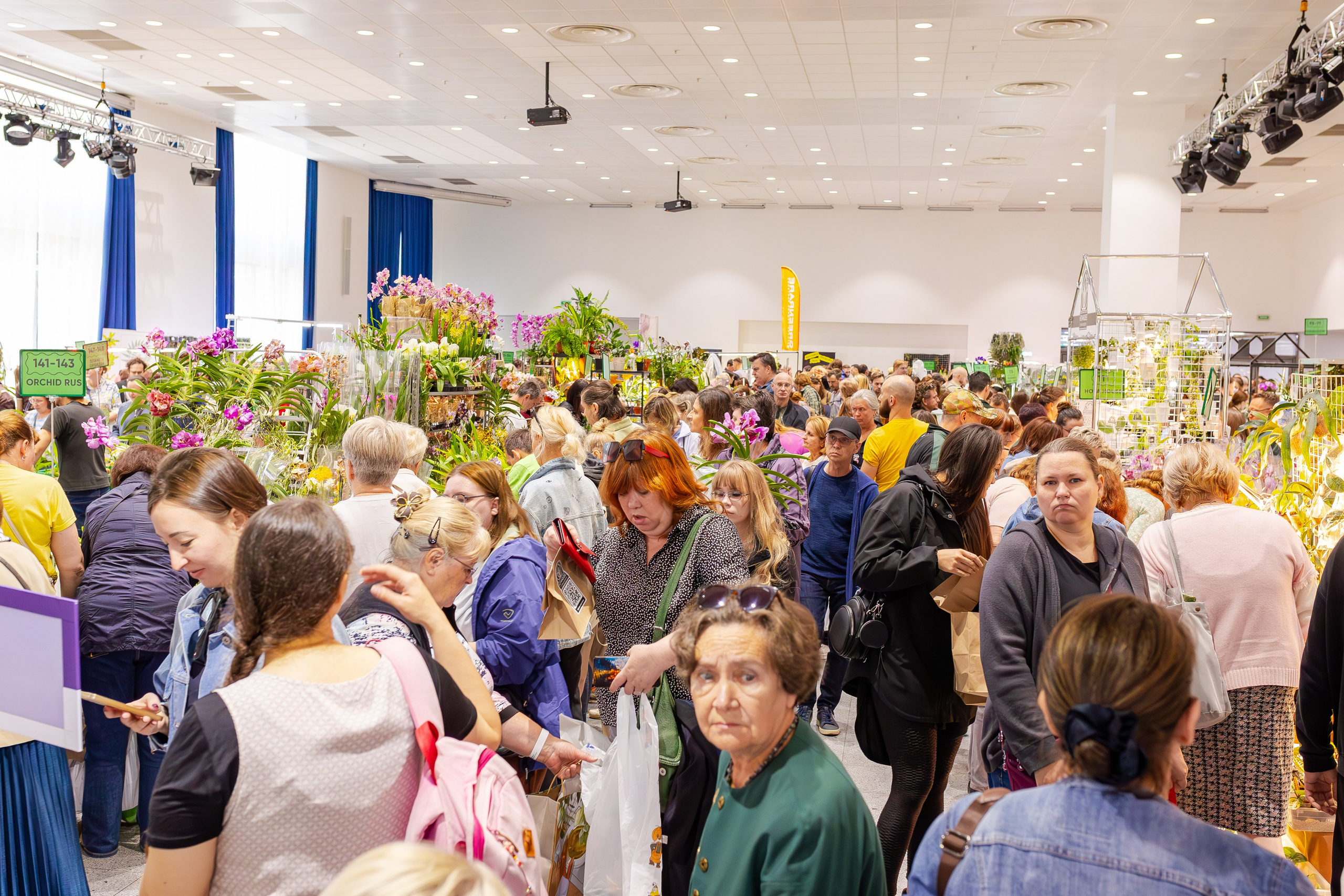 Орхидиум сентябрь 2025. Александра Куликова фотограф, Москва