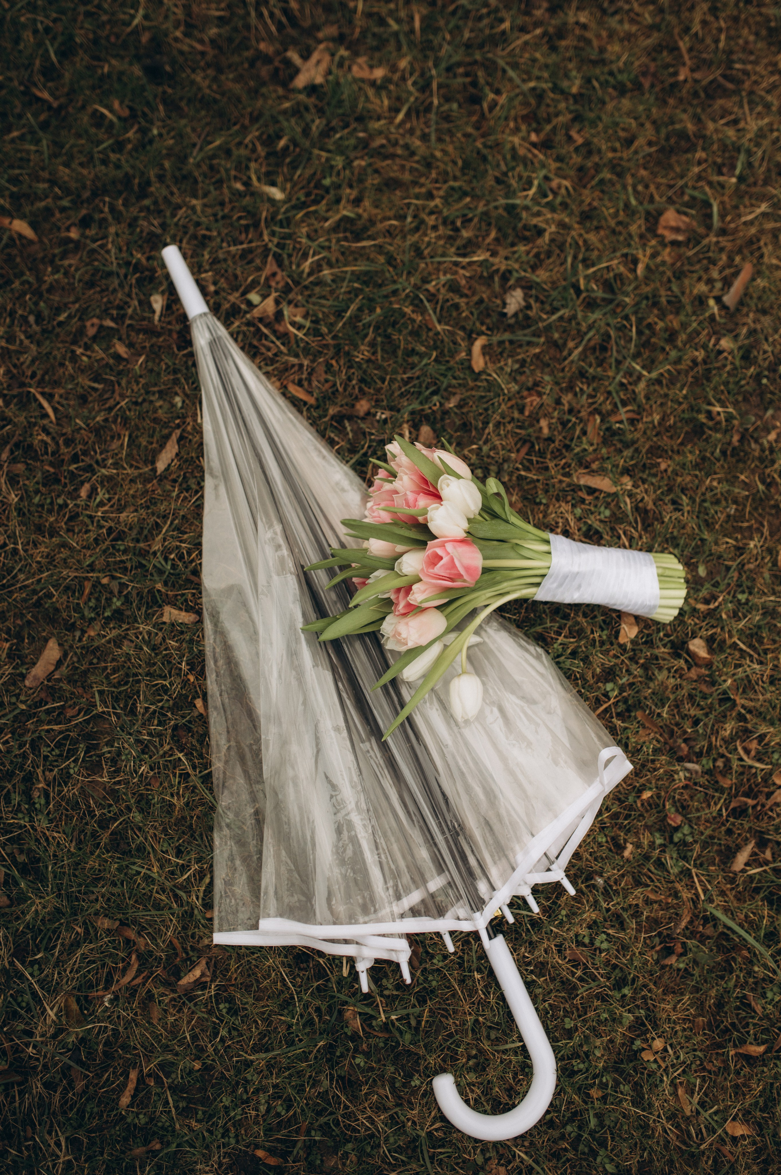 Алёна и Сергей. Фотограф Быстрова Дарья г. Москва