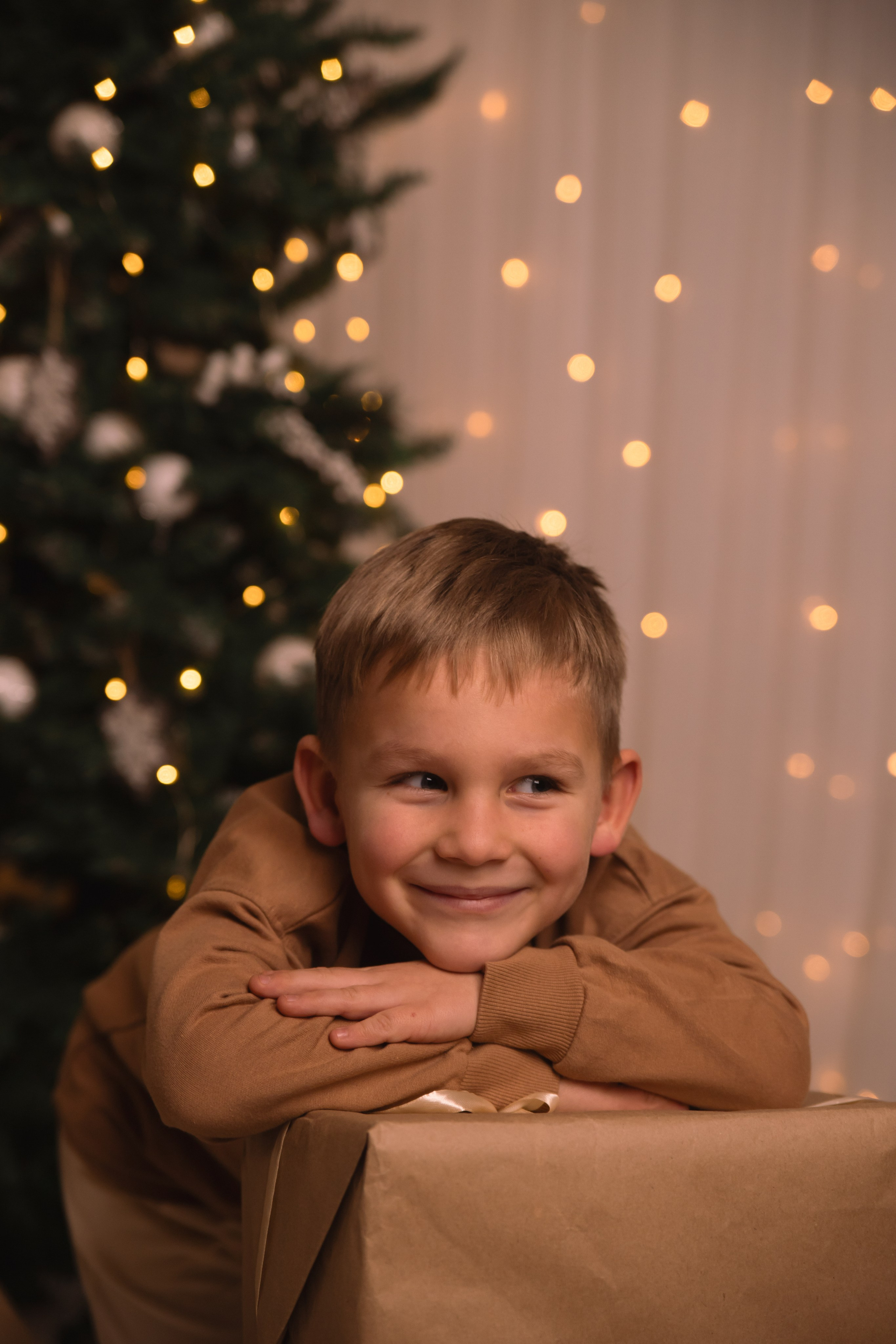 Новый Год. Фотограф Наталья Лепесей