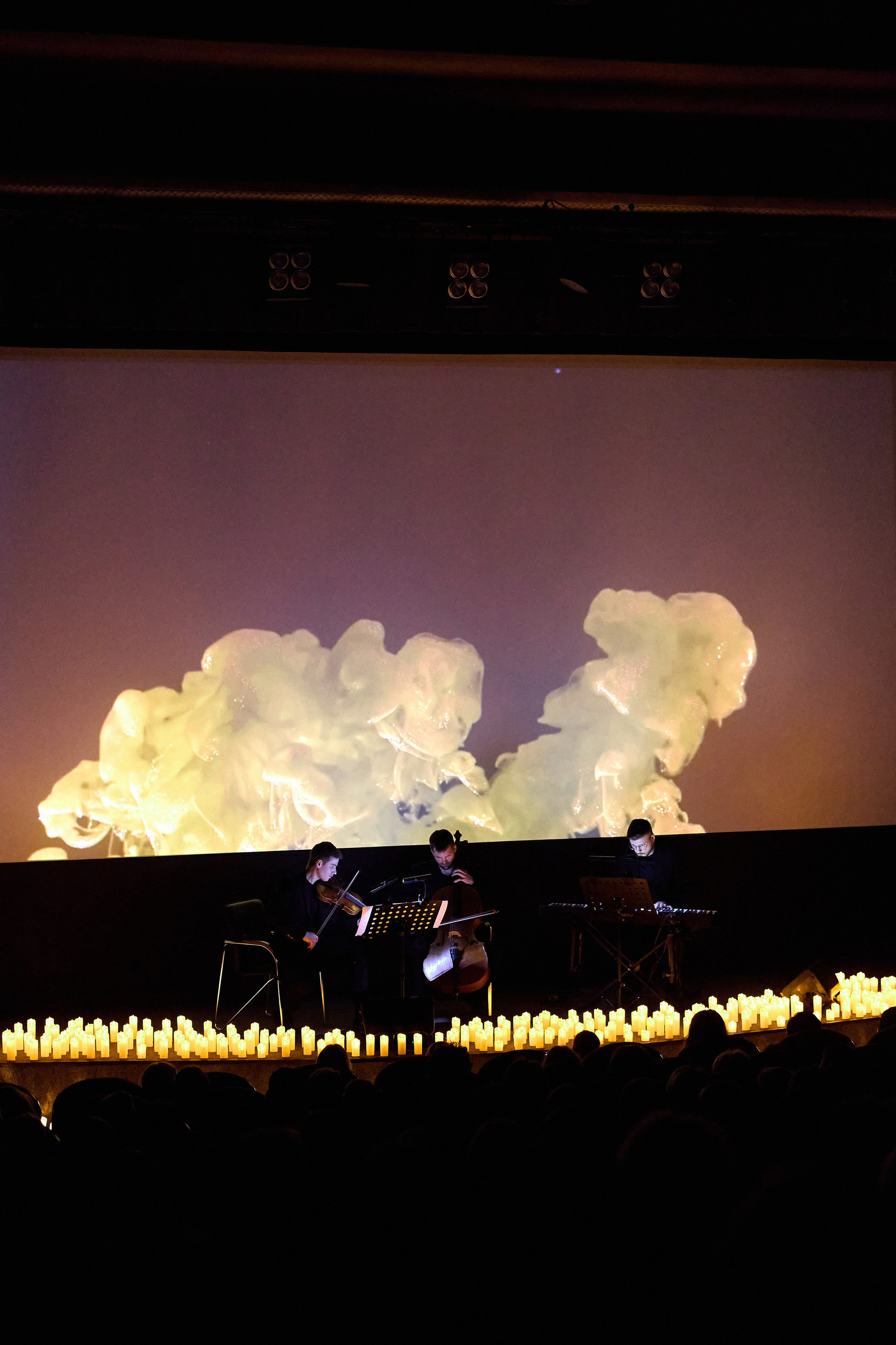 ARTE MUSICUM. Фотограф Мария Сивохина