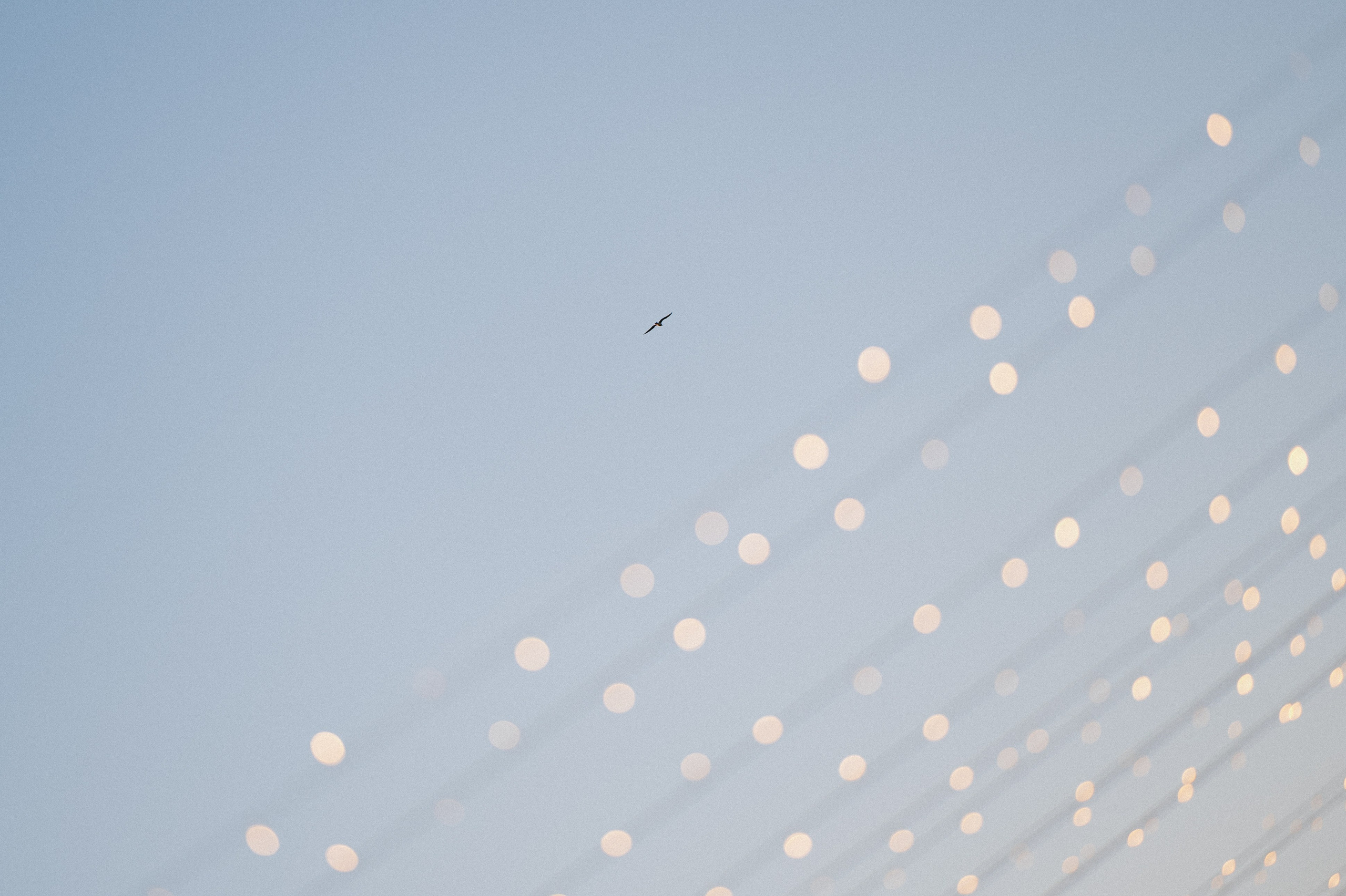 Потанцуй со мной!. Свадебный и репортажный фотограф Новороссийск, Краснодар, Сочи Олеся Дзюба