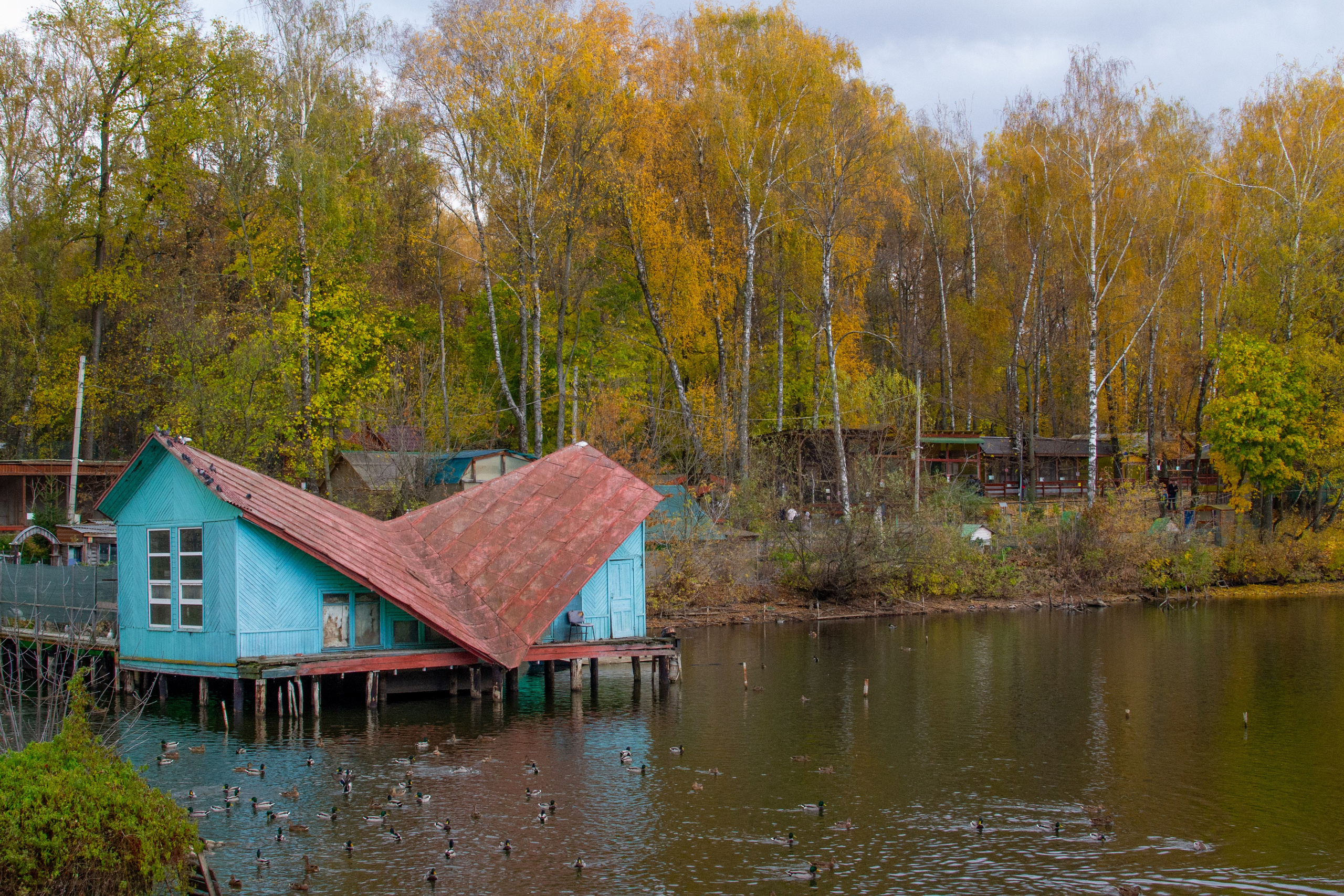 Старенький Nikon 3100 и nikkor 35 mm 1.8 (фото проявленные из RAW-NEF файлов). Фотограф в Туле Крупский АнДРей. Фотостудия «КАДР71» в Туле