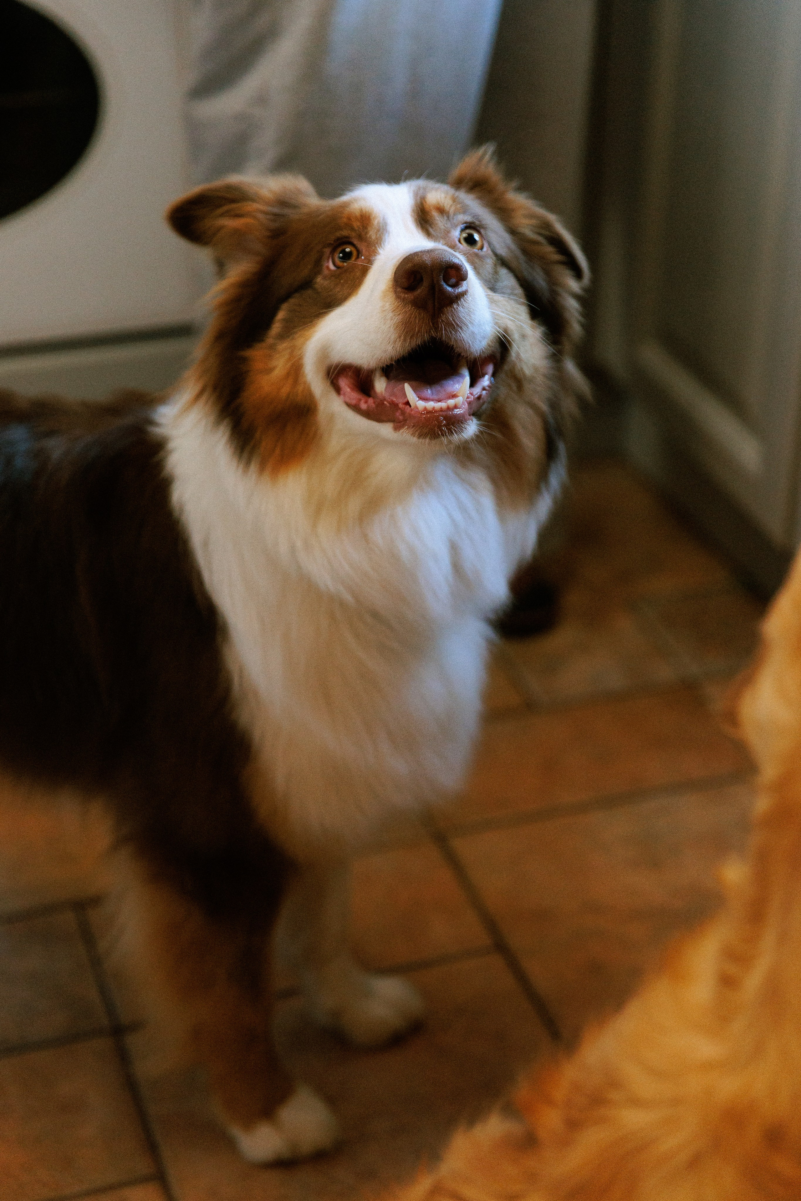 Большая семья. Фотограф в Москве Людмила Малова