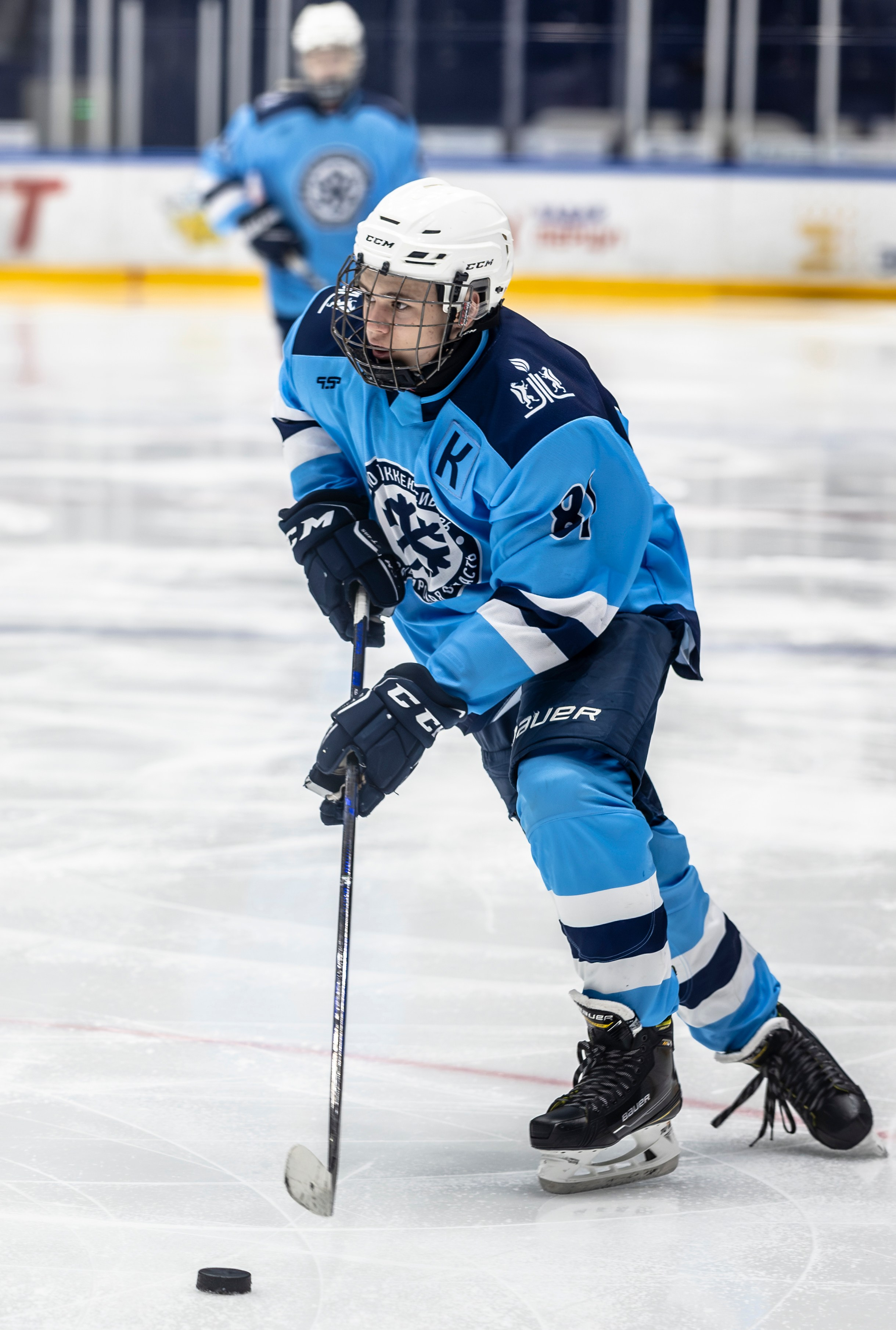 Сибирь (ЮХЛ). Bertran Ordo