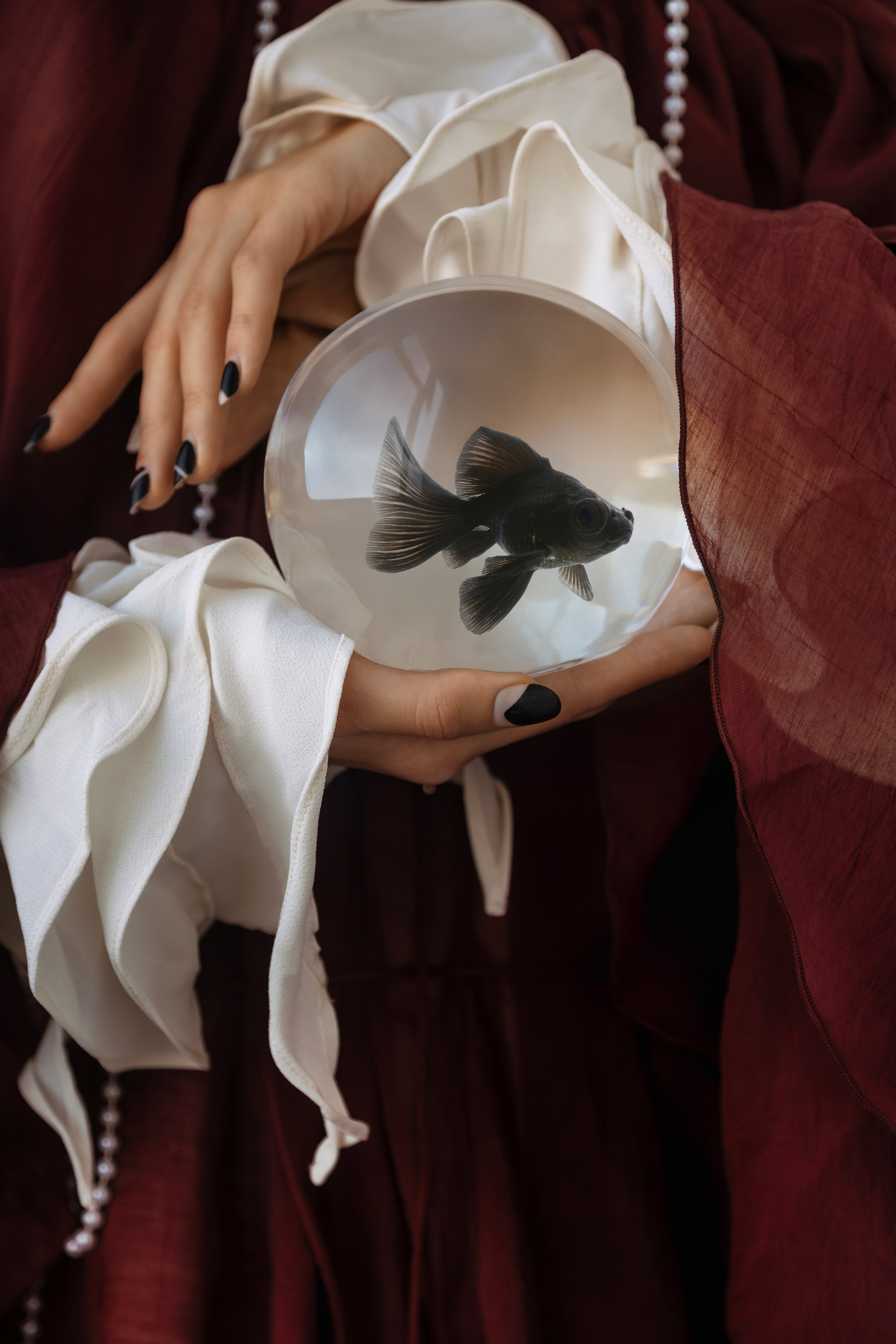 Рыбы. Арт фотограф в Белграде Парфенова Екатерина