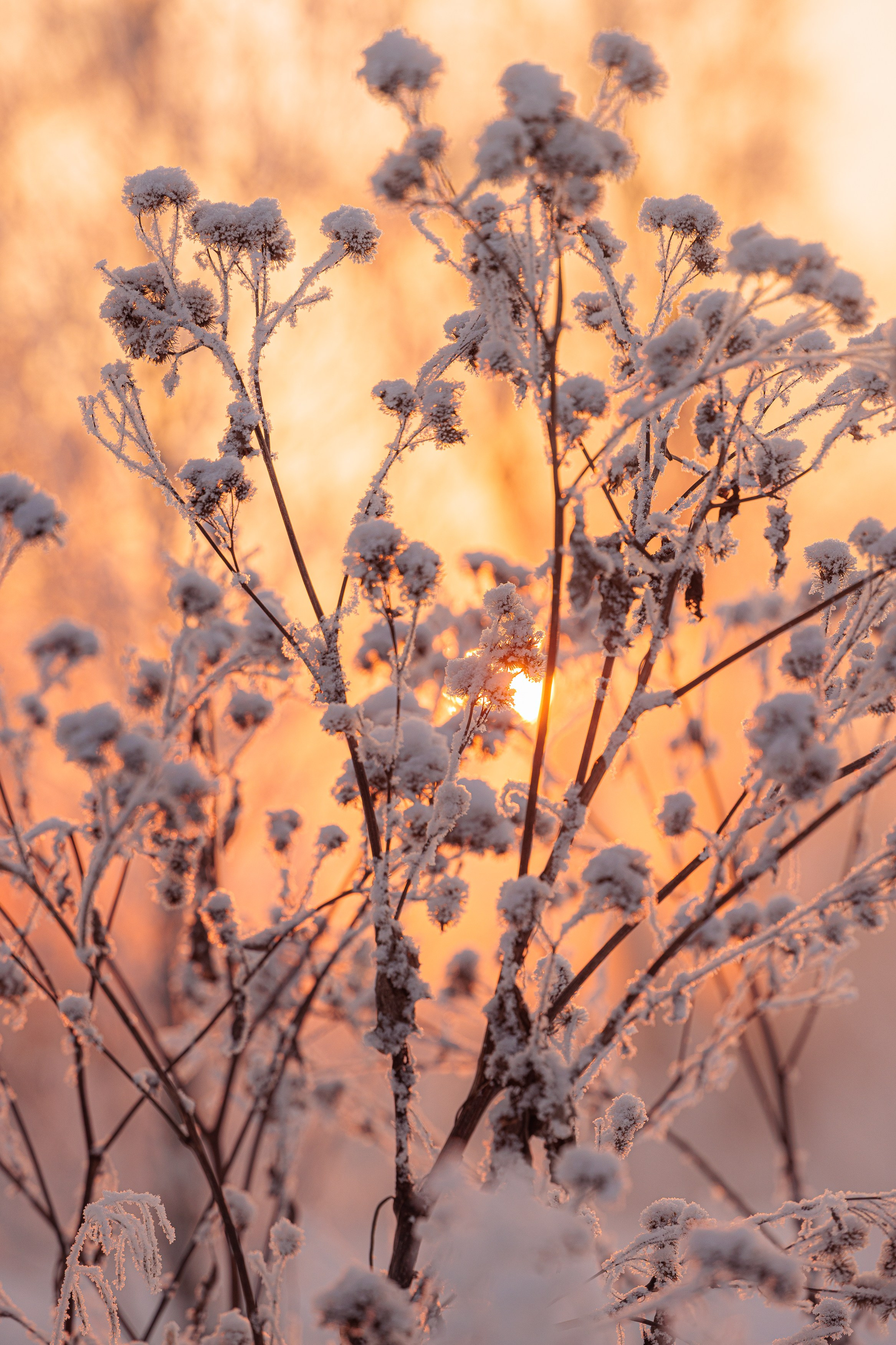 Пейзаж (вич рн) Закат. Владимир Петухов — фотограф в г. Кинешма. Оператор FPV