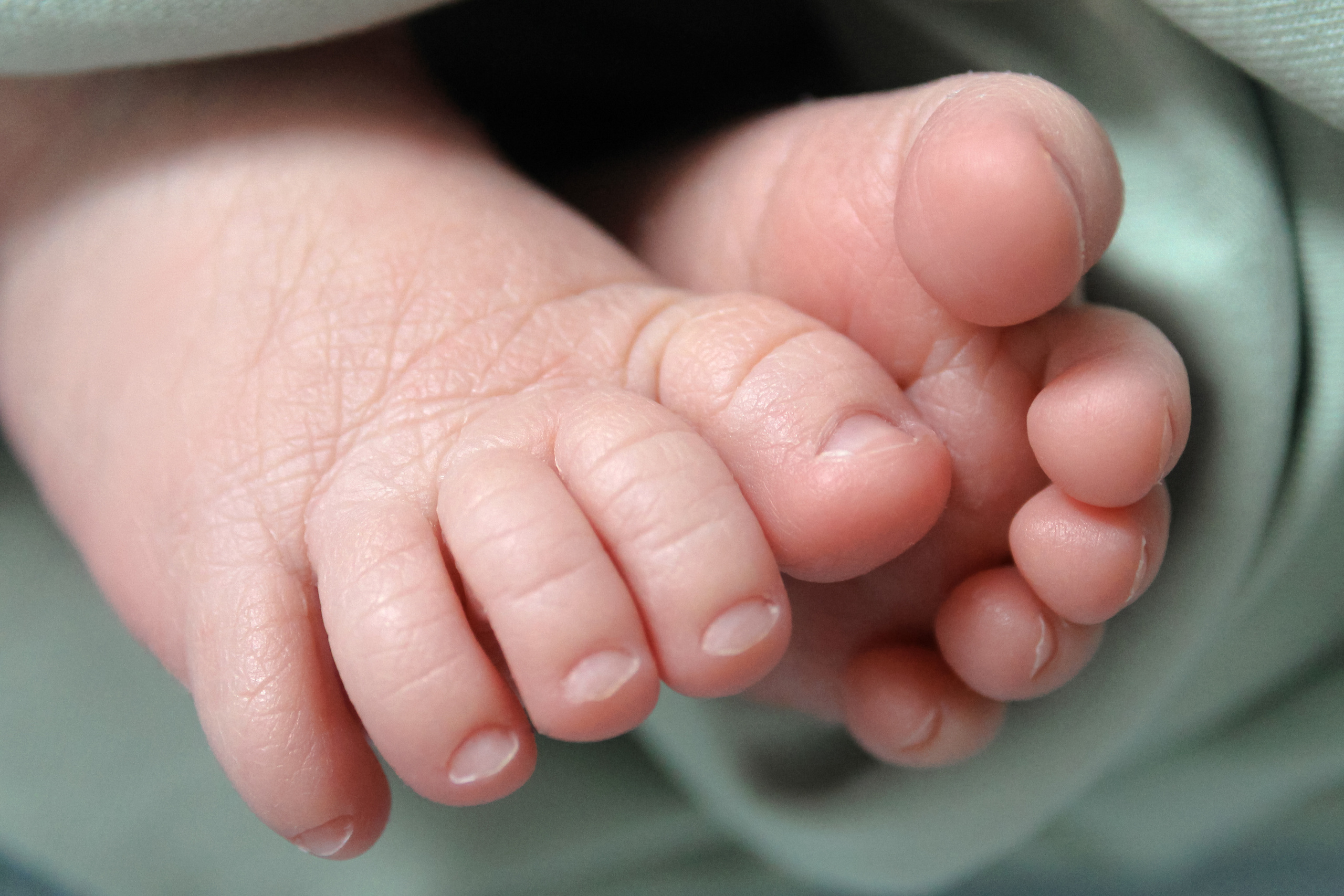 Макроснимки. Фотограф новорождённых г. Салехард