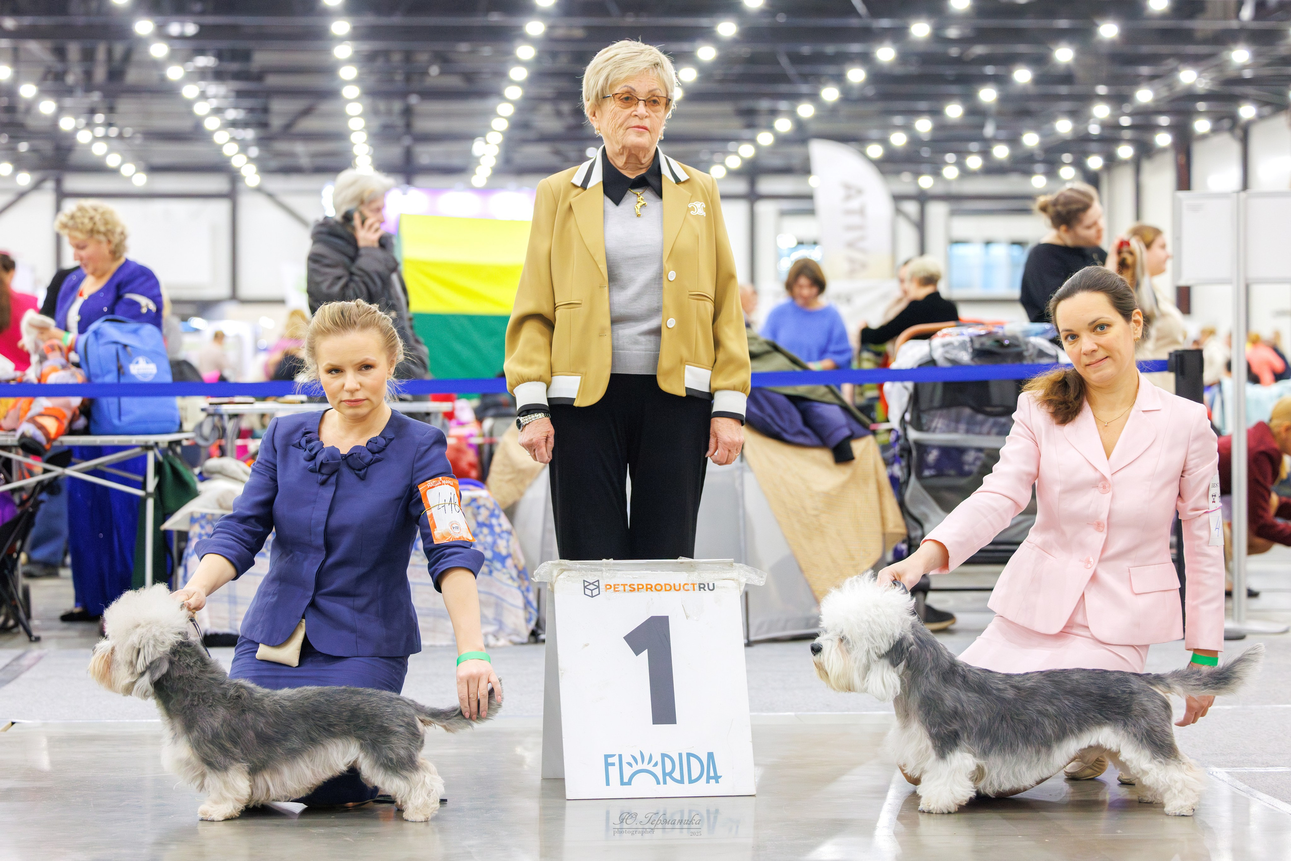 Питер 12-13.12.2025. Фотограф-анималист Юлия Германика