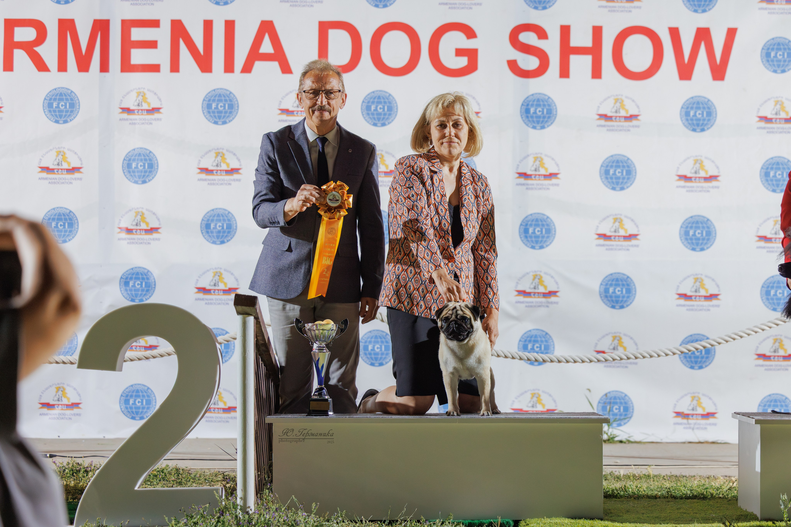 Ереван 3хCACIB 23-25.06.2025. Фотограф-анималист Юлия Германика