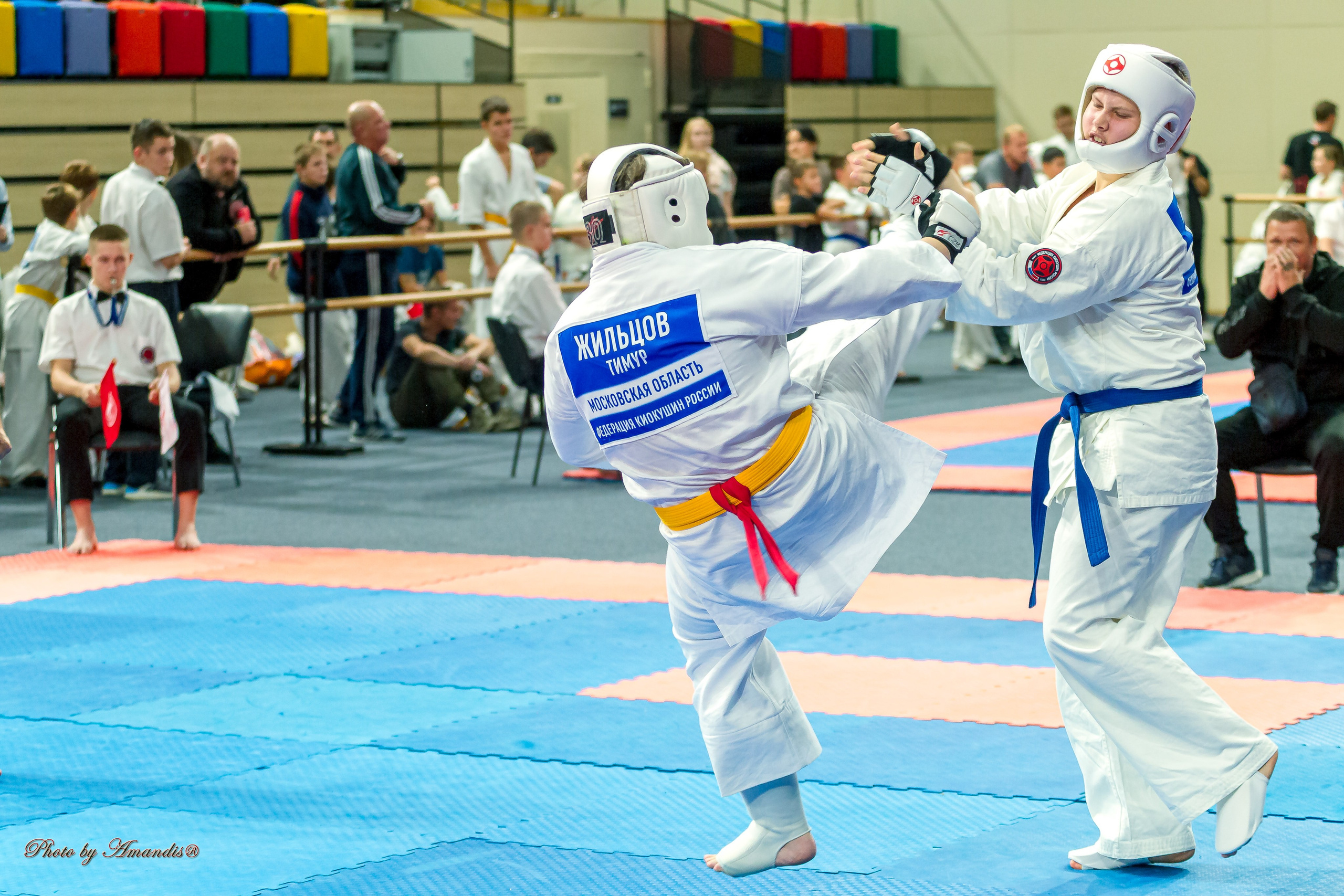 Первенство Московской области по Киокушин в СК «Жаворонки». Репортажная съемка в Москве и области. Анималистика
