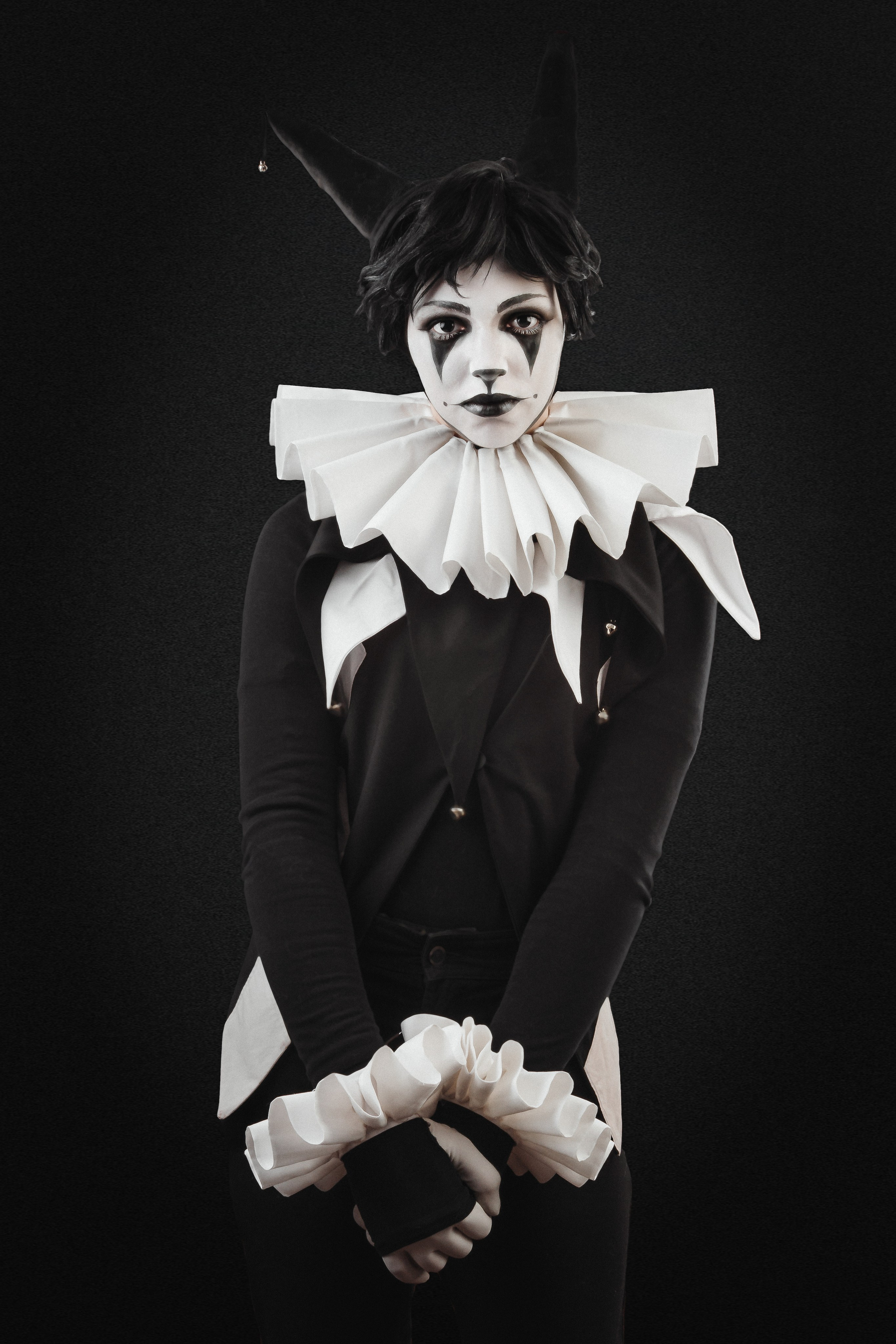 Коварный кот. Светлана Аброщикова