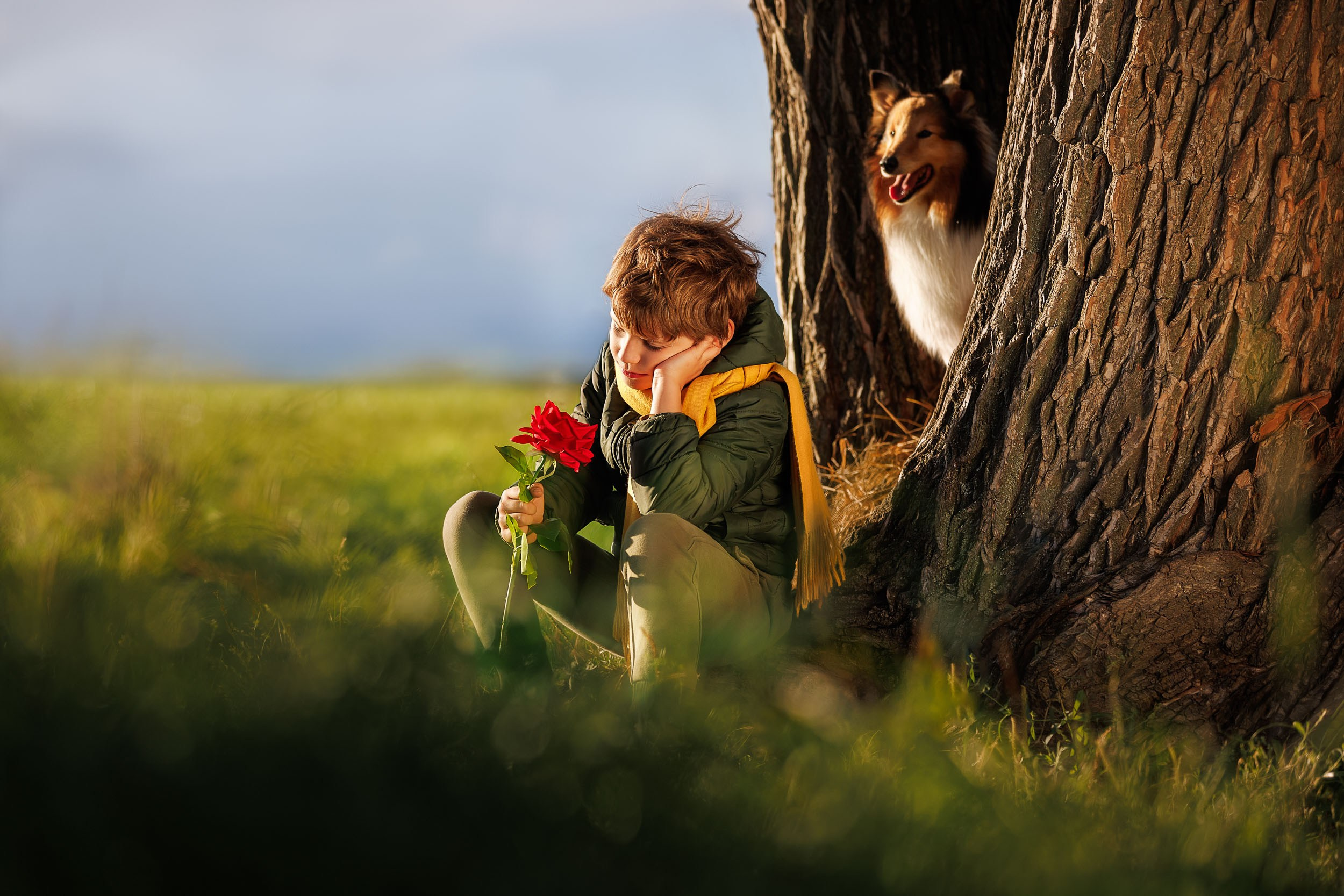 Фотосессия Маленький Принц. Фотограф-анималист в Москве и Московской области Татьяна Фролова