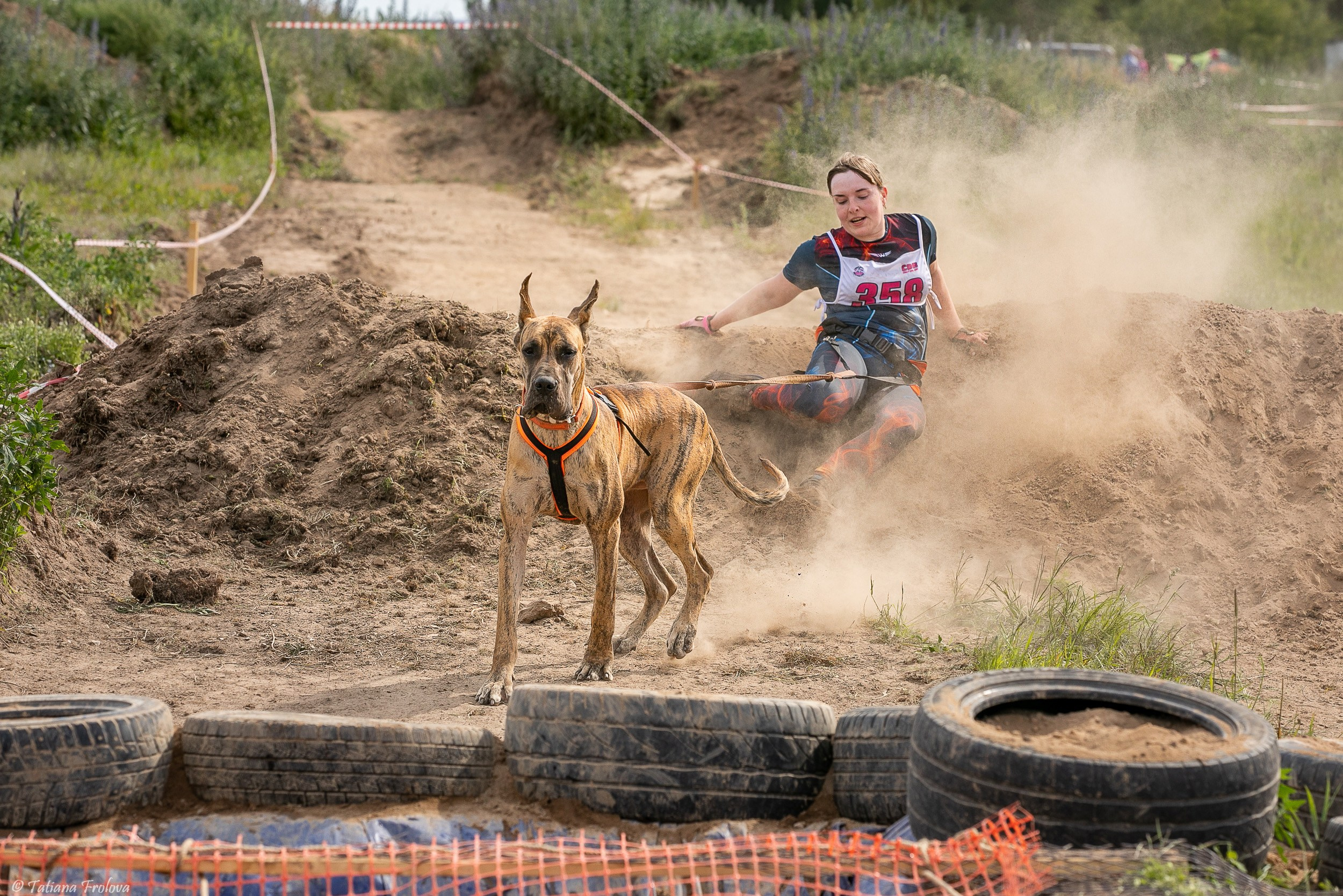 Фоторепортаж с забега с собаками. Фотограф-анималист в Москве и Московской области Татьяна Фролова