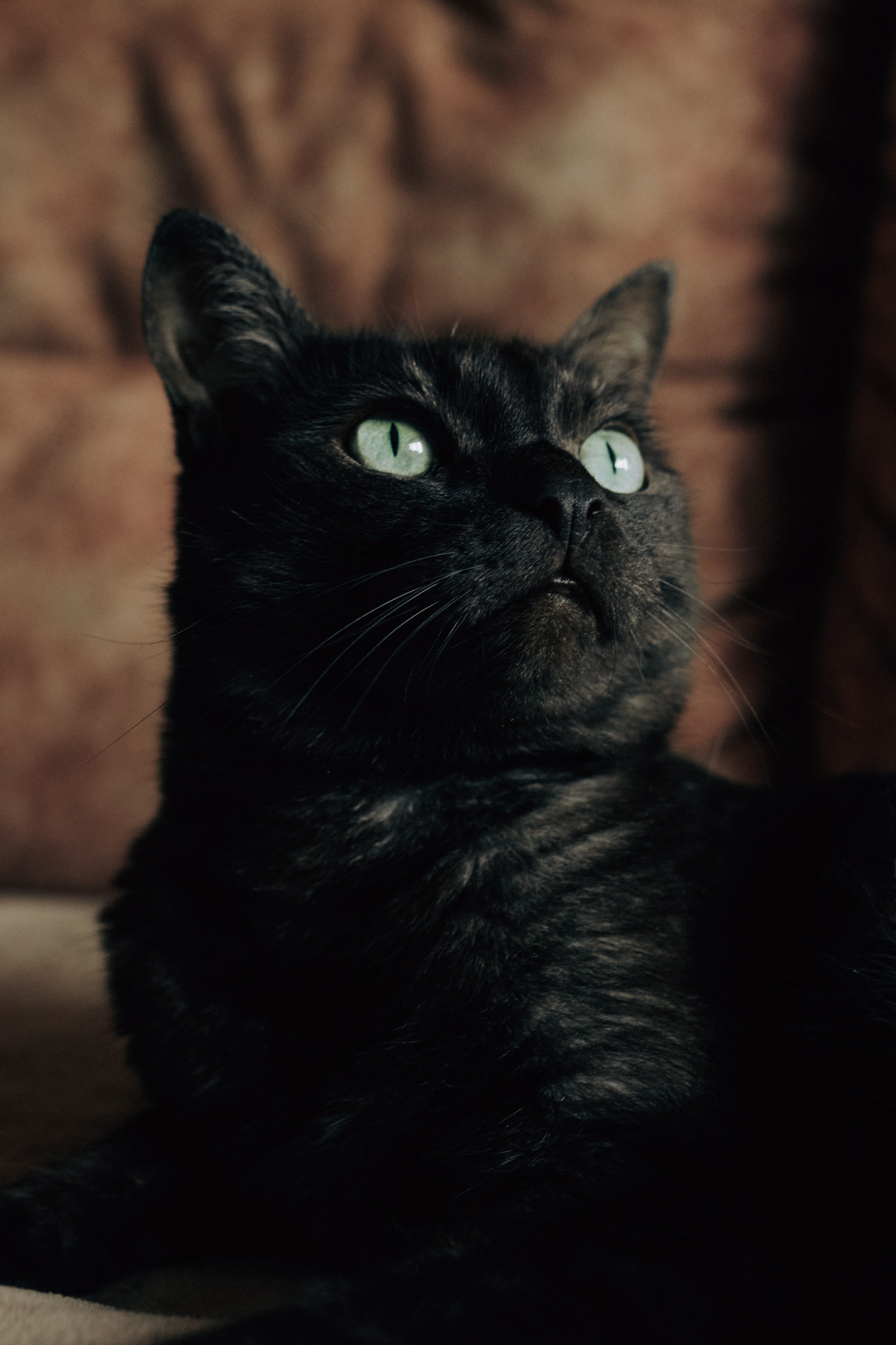 Лена. Фотограф Стилист Тюмень Вера Хайруллина