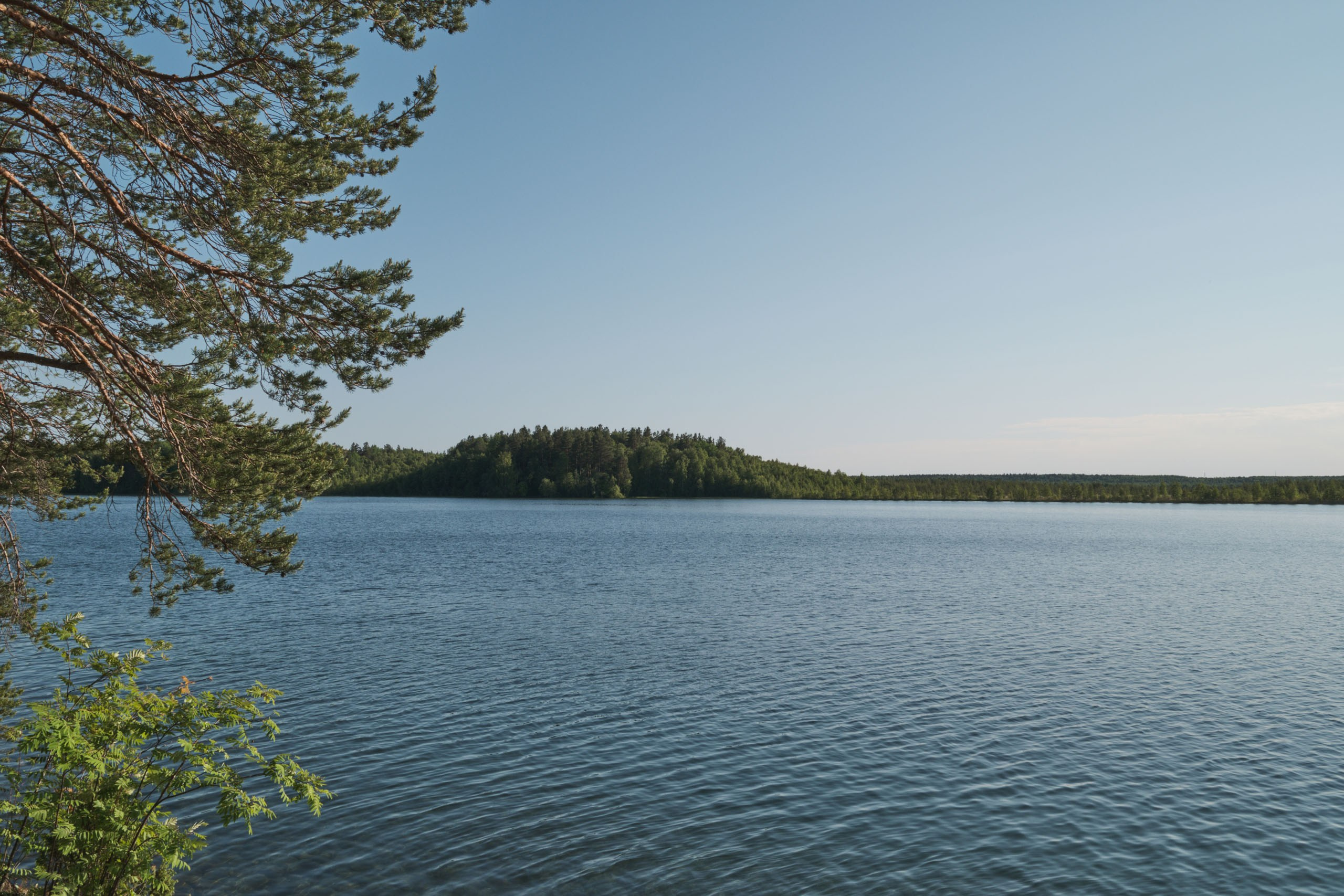 Фотоальбом с разными съёмками
