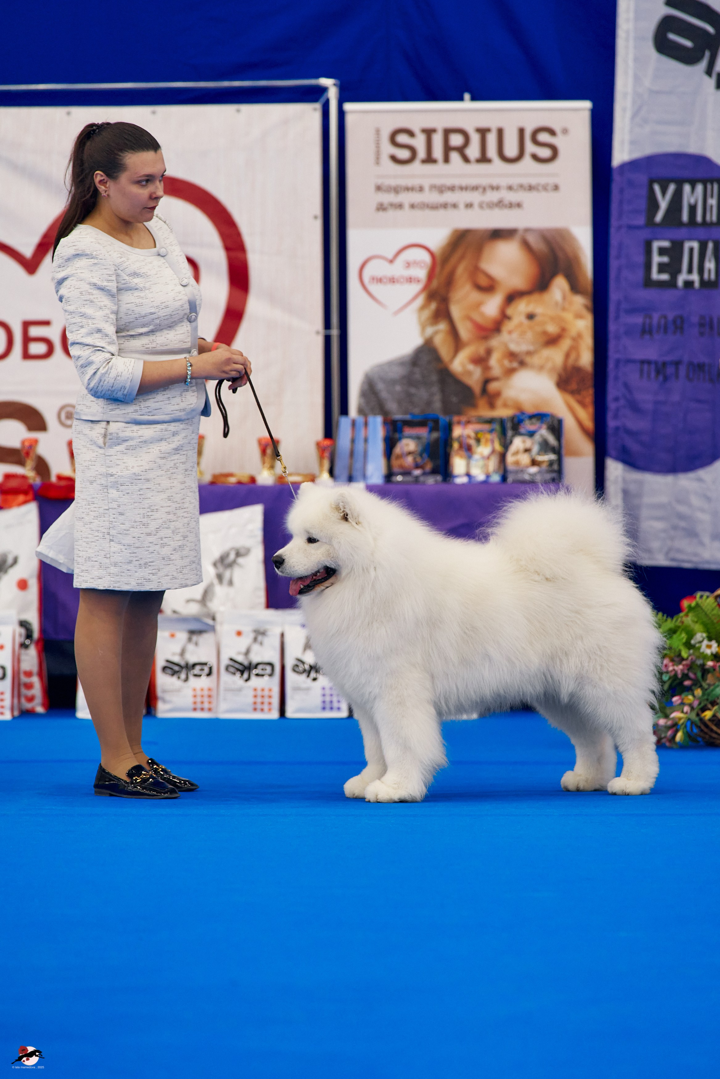 27.04.2025 | "Петербург-Элита 2025" & «КУБОК «ЭЛИТЫ»-2025»