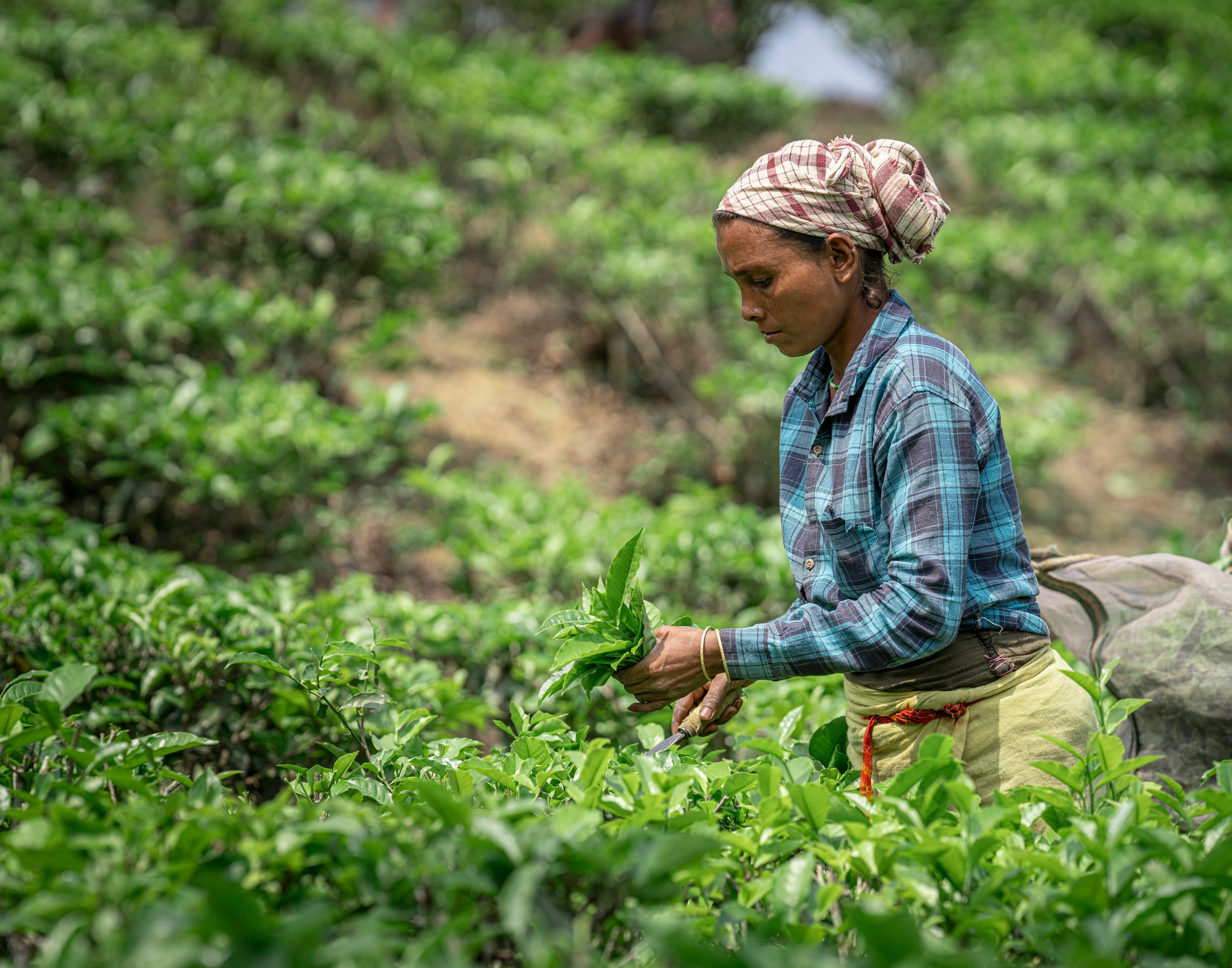 India travel. Фотограф Сергей Танков