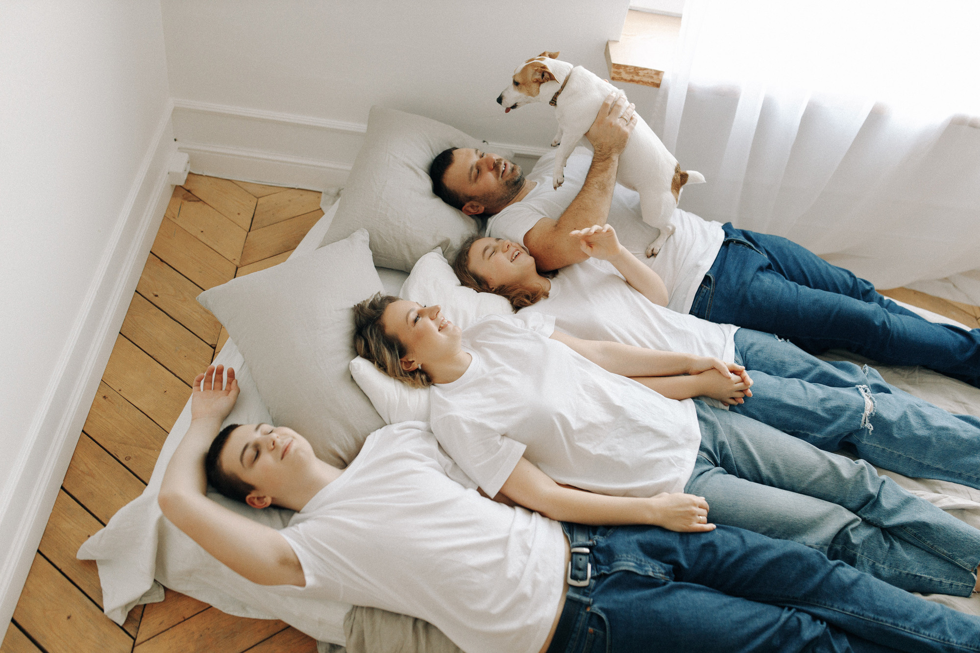 Джек-рассел в студии