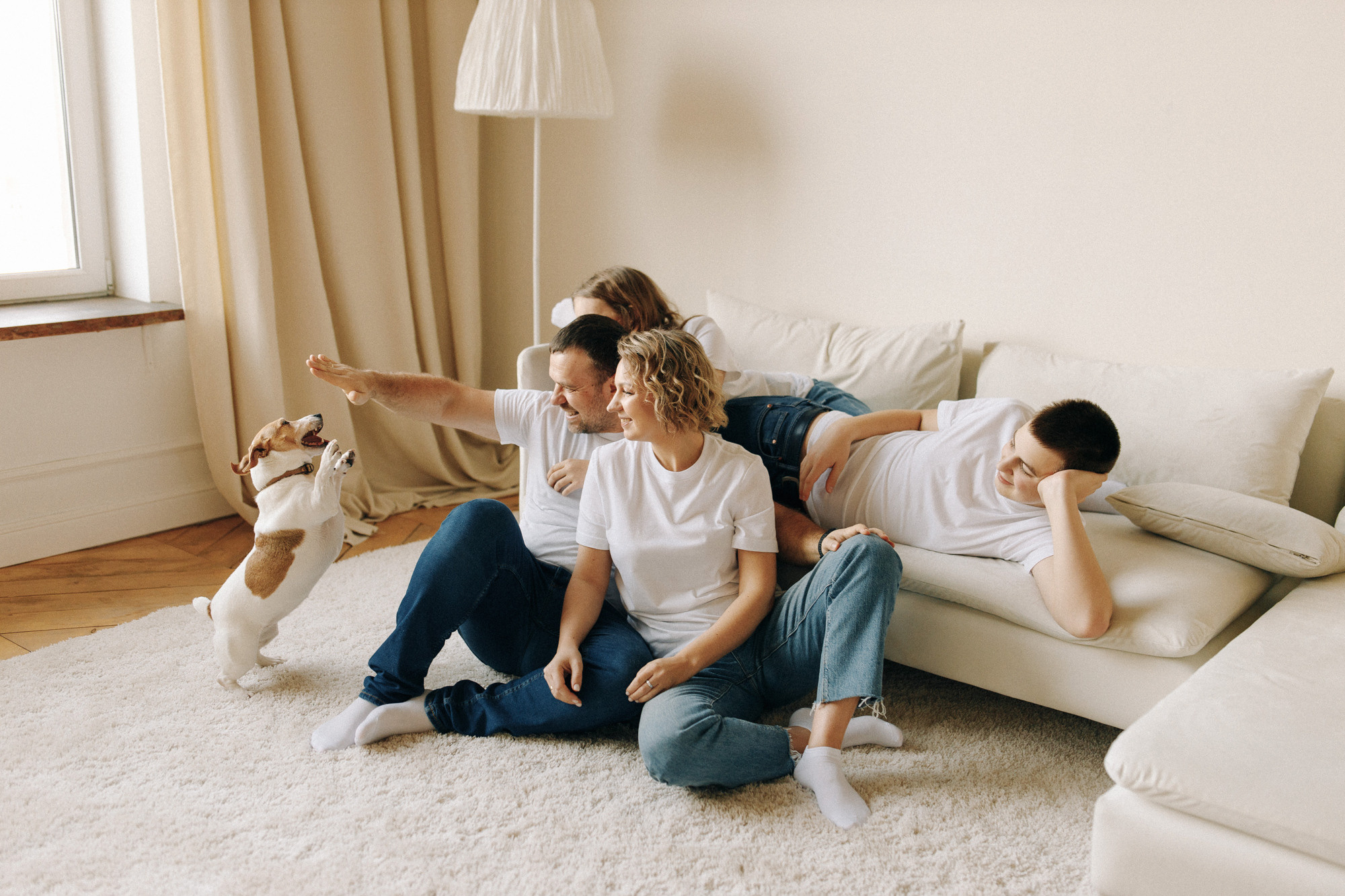 Джек-рассел в студии