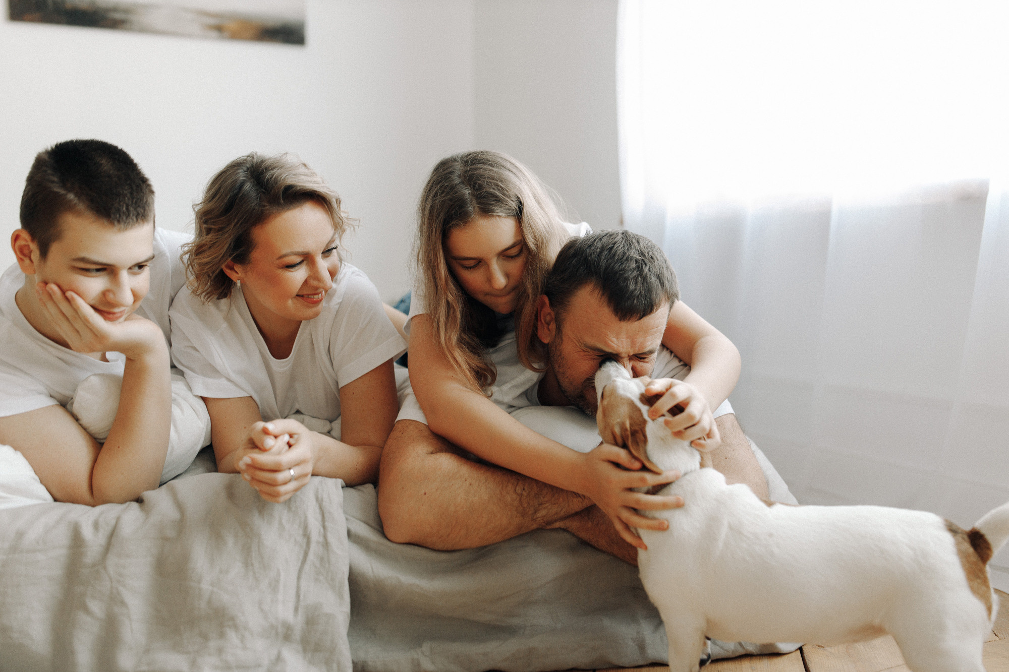 Джек-рассел в студии