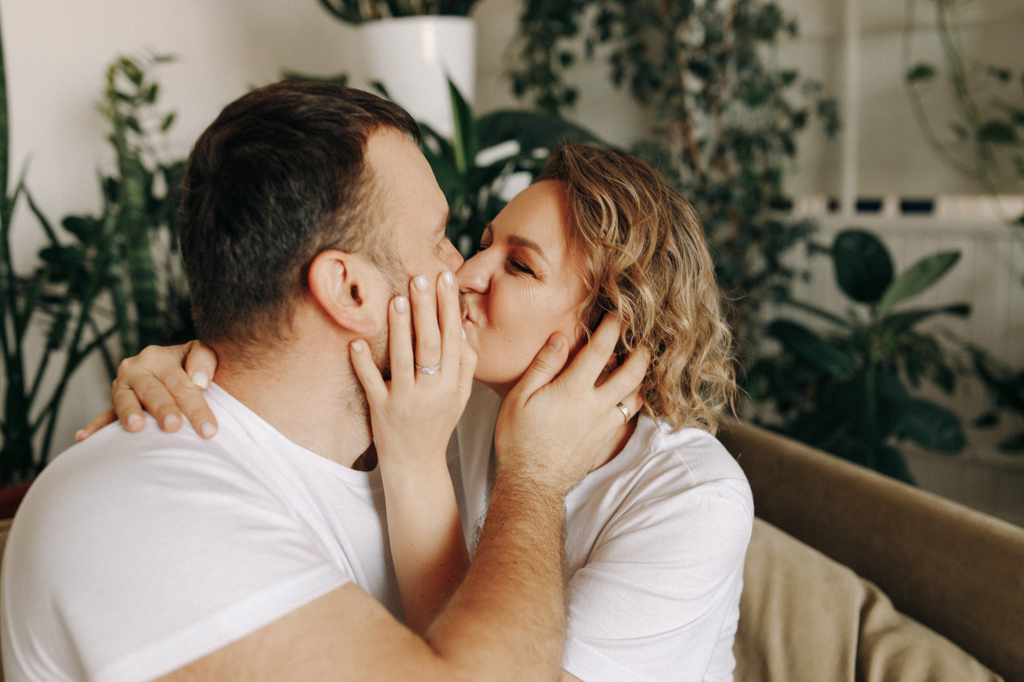 Джек-рассел в студии