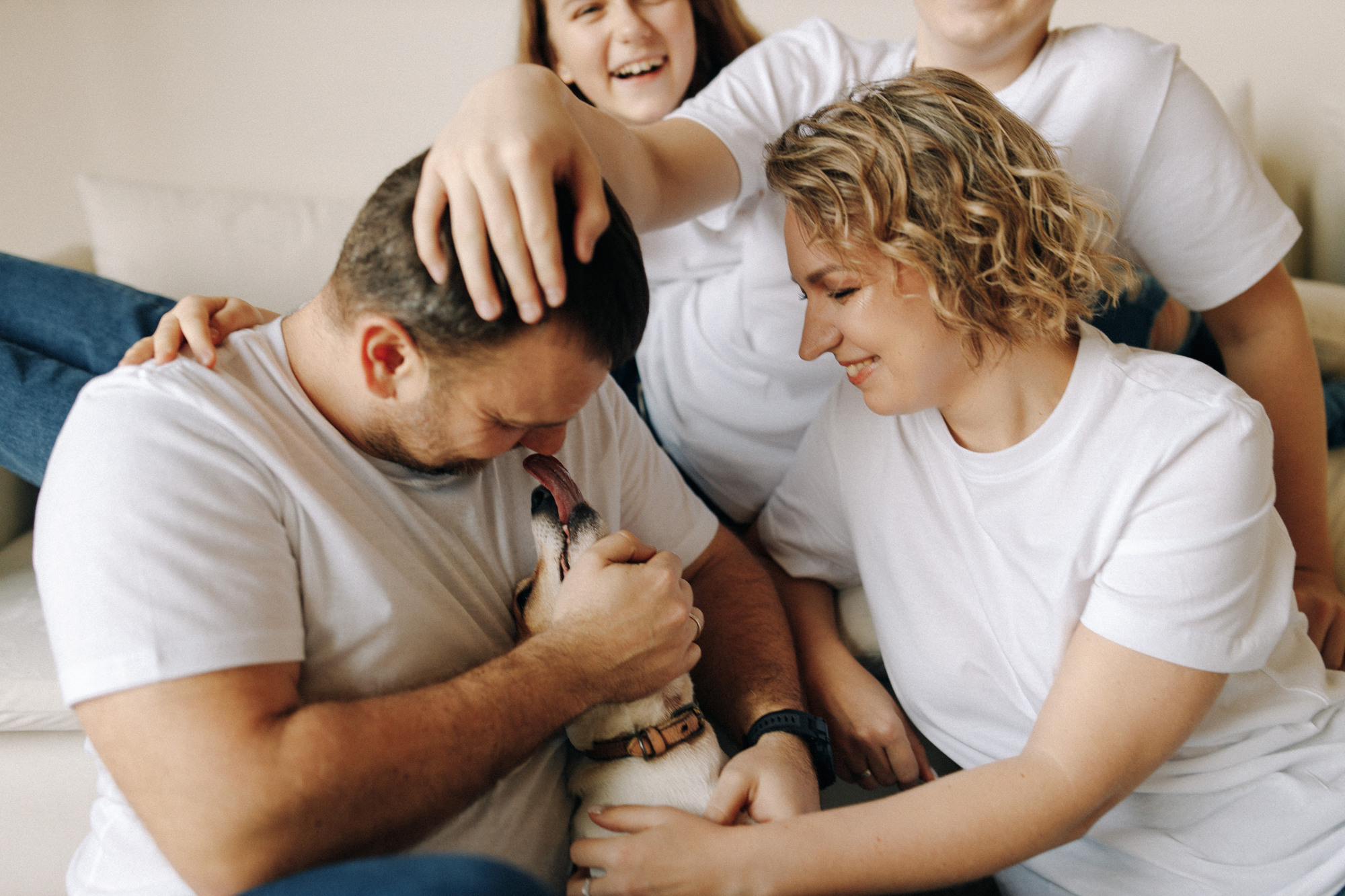 Джек-рассел в студии