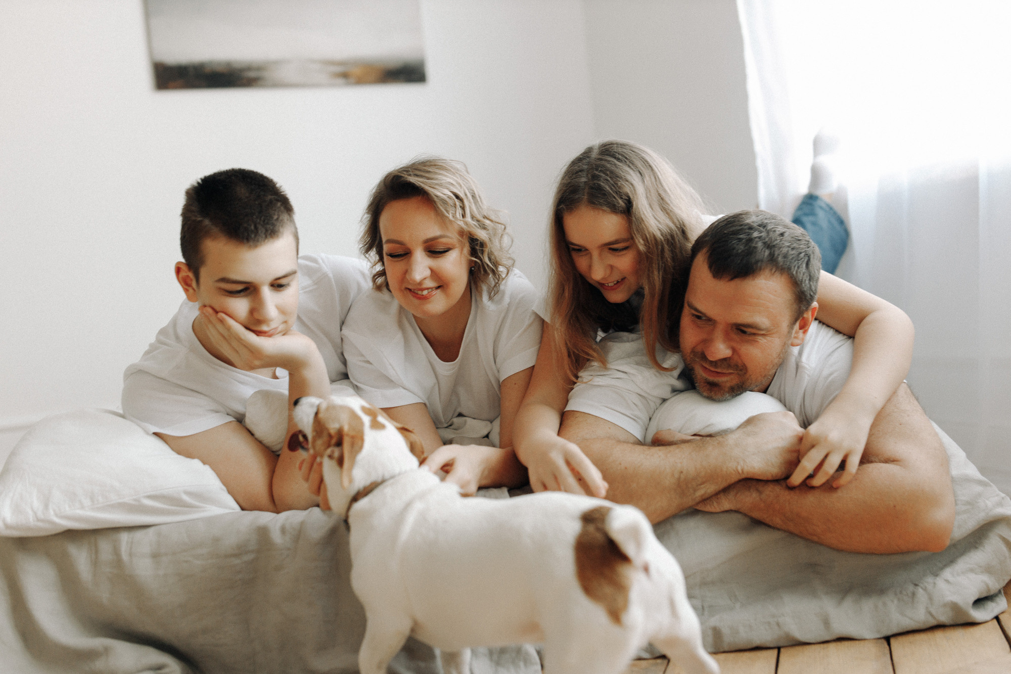 Джек-рассел в студии