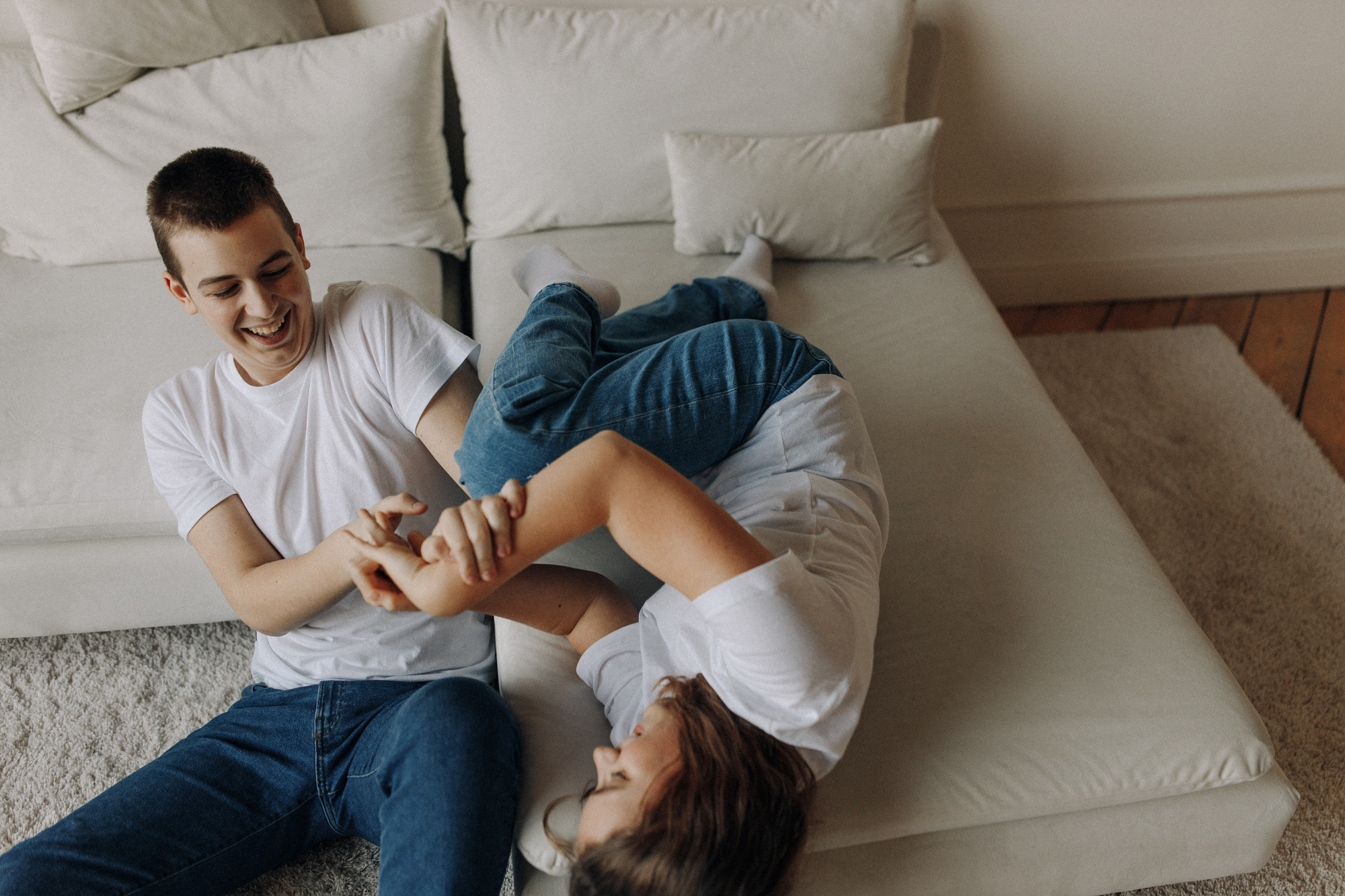 Джек-рассел в студии