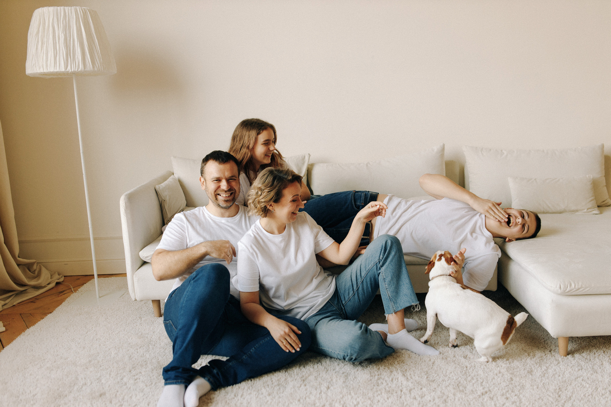 Джек-рассел в студии