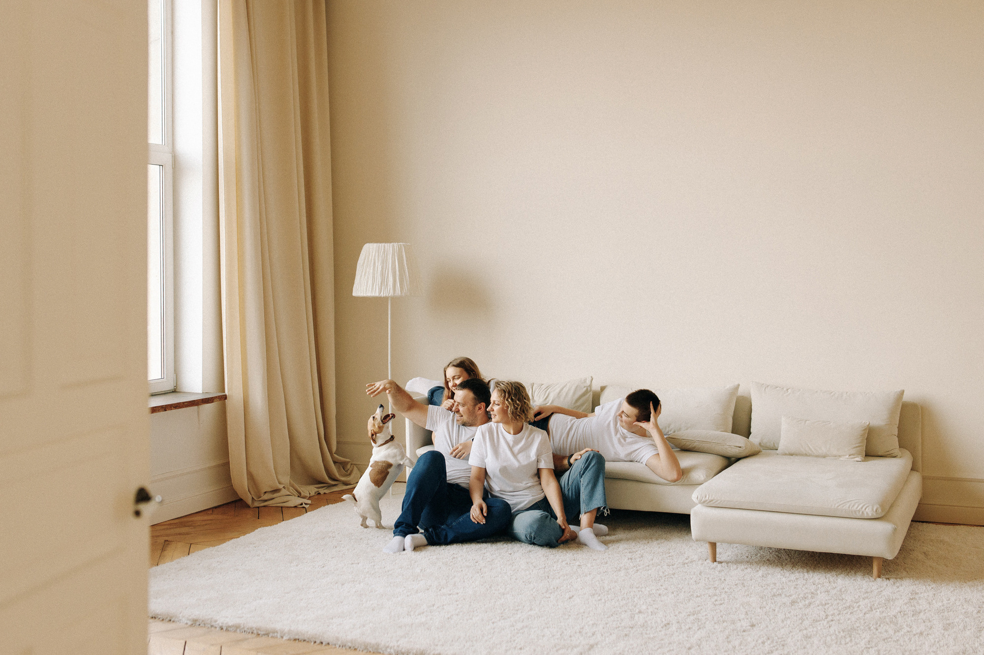 Джек-рассел в студии