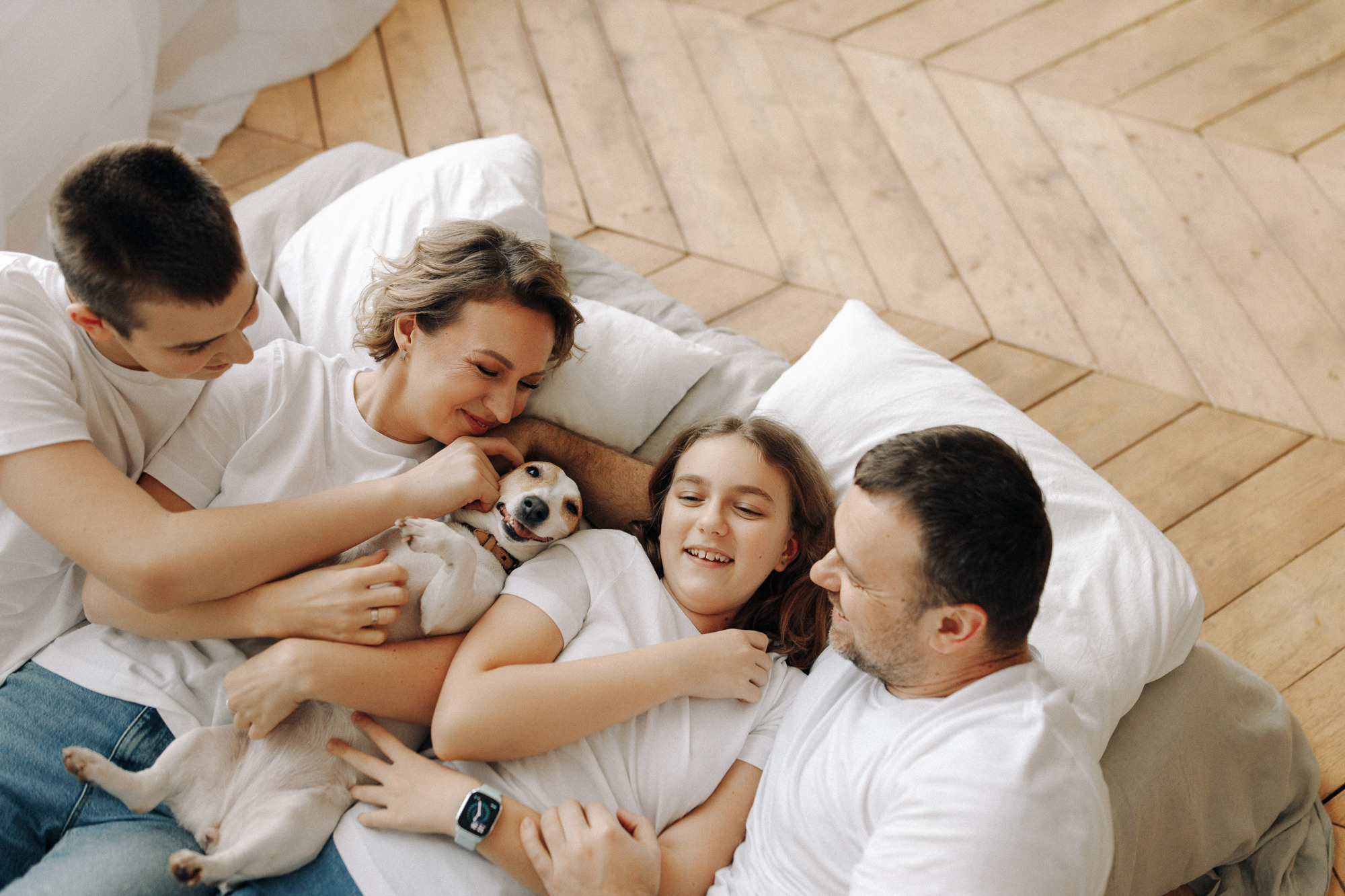 Джек-рассел в студии