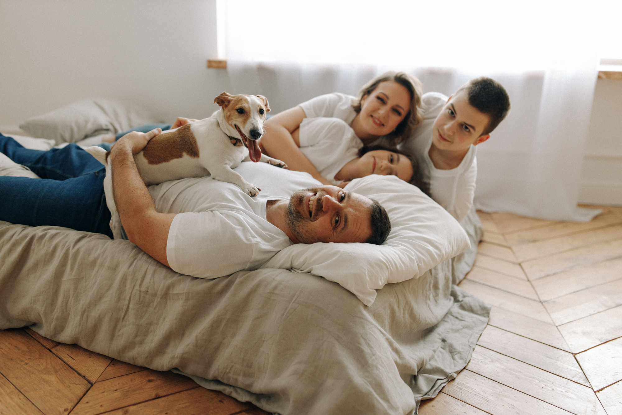 Джек-рассел в студии