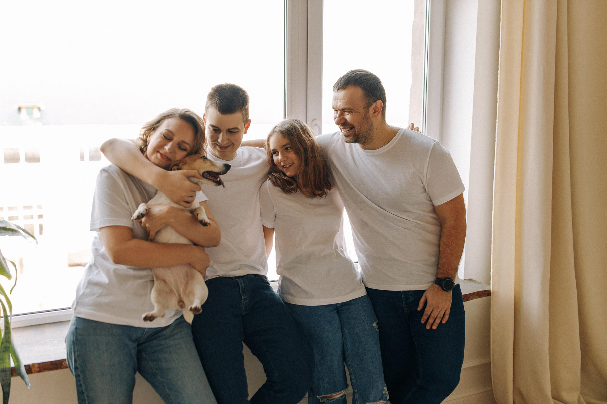 Джек-рассел в студии