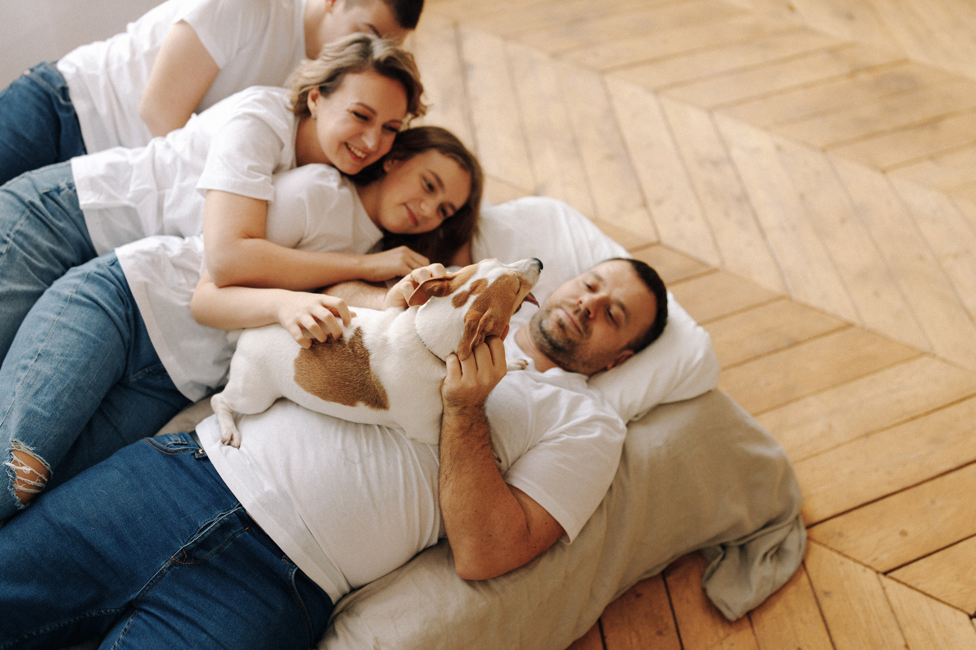 Джек-рассел в студии