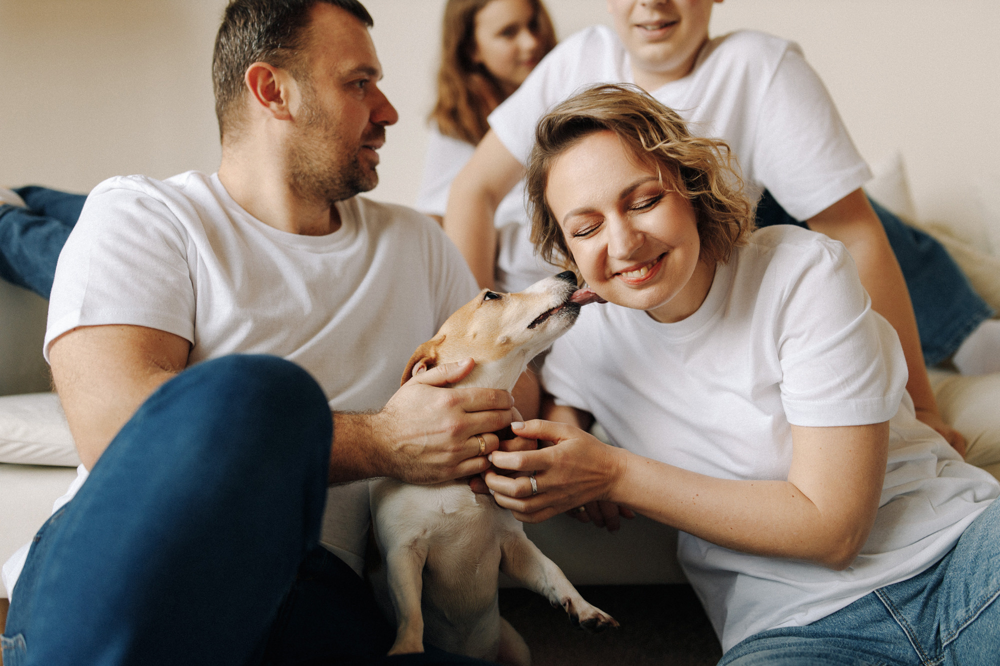 Джек-рассел в студии