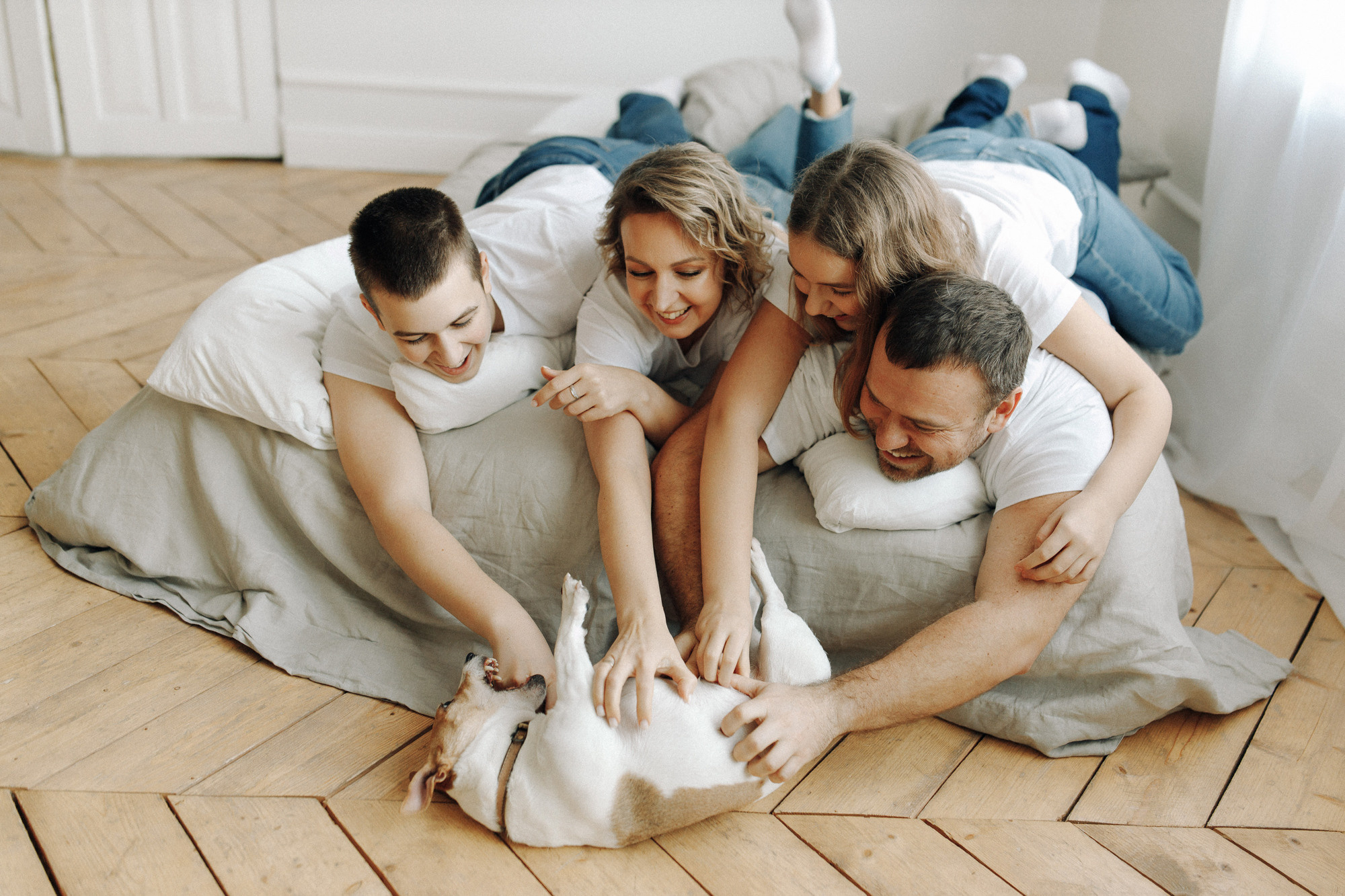 Джек-рассел в студии