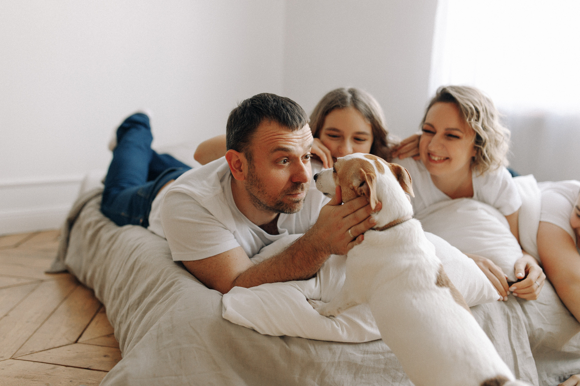 Джек-рассел в студии