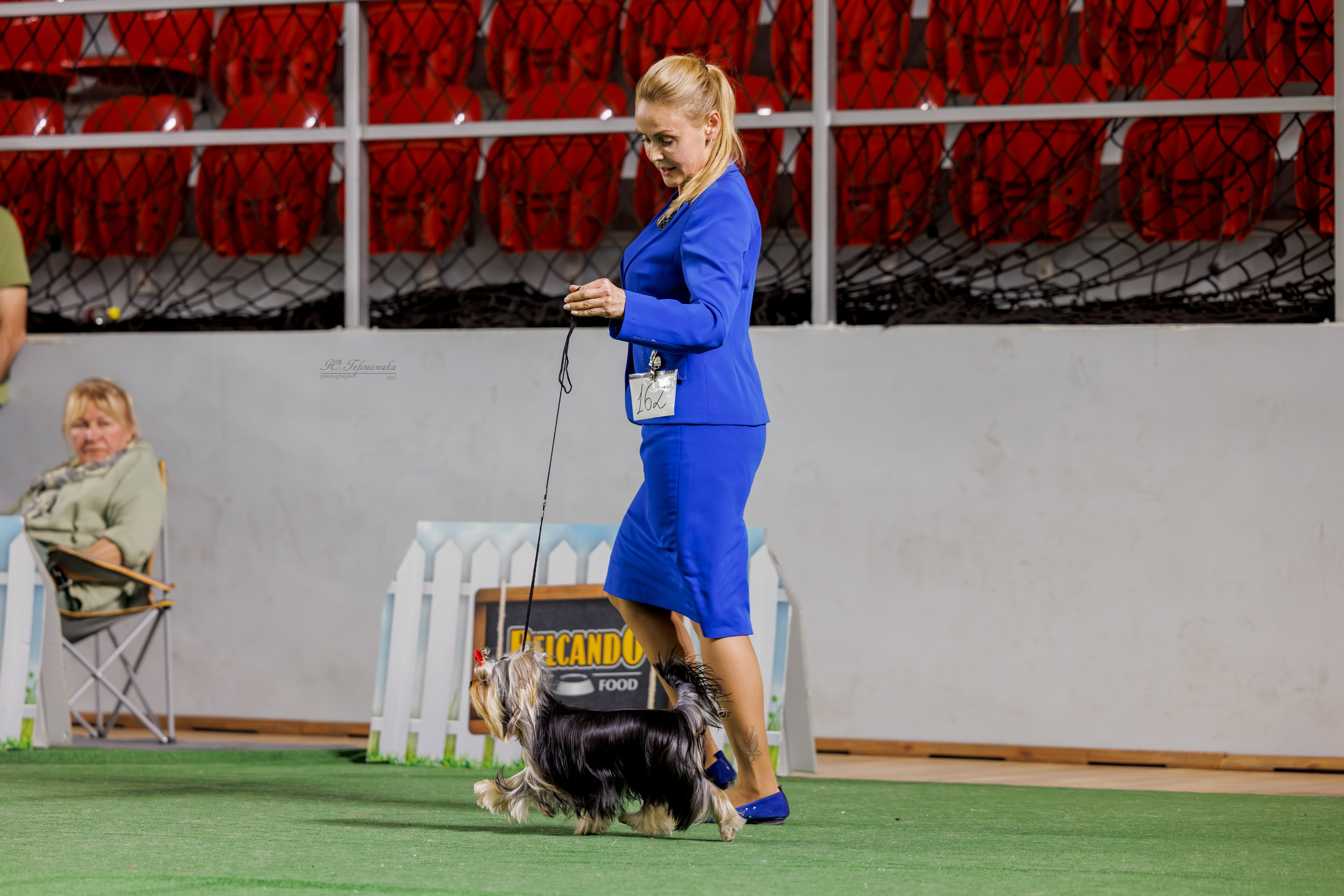 Телави 11-12.10.2025. Фотограф-анималист Юлия Германика