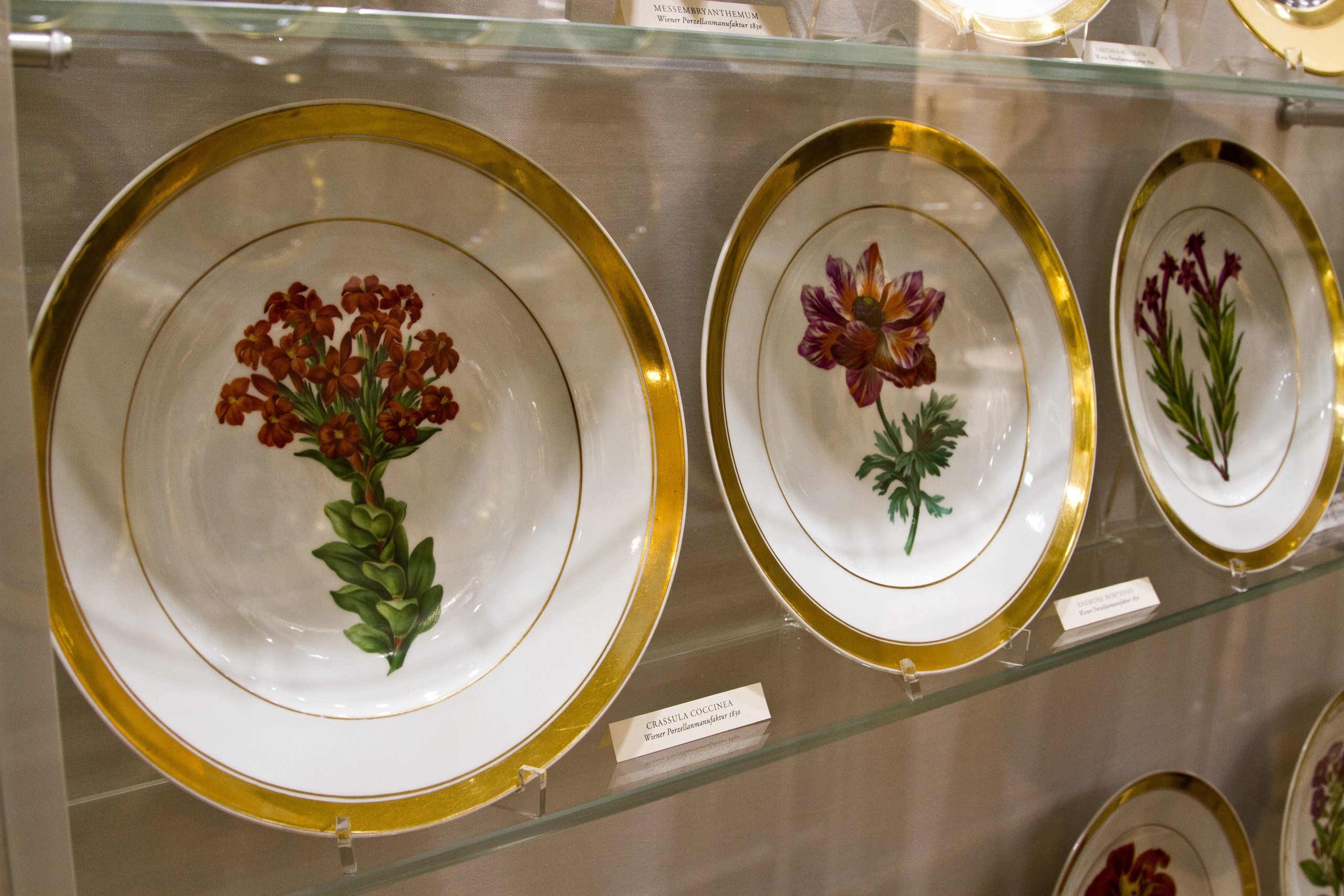 Австрия: Венский Хофбург. Дарья Письменюк / Darya Leitstern — фотограф, музыкант, журналист, путешественник