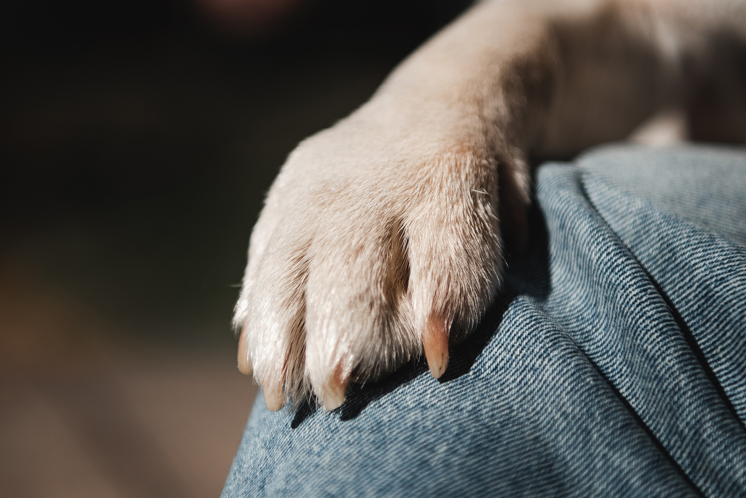 Оля и Ника. Семейный Фотограф в Москве Ирина Хохлова