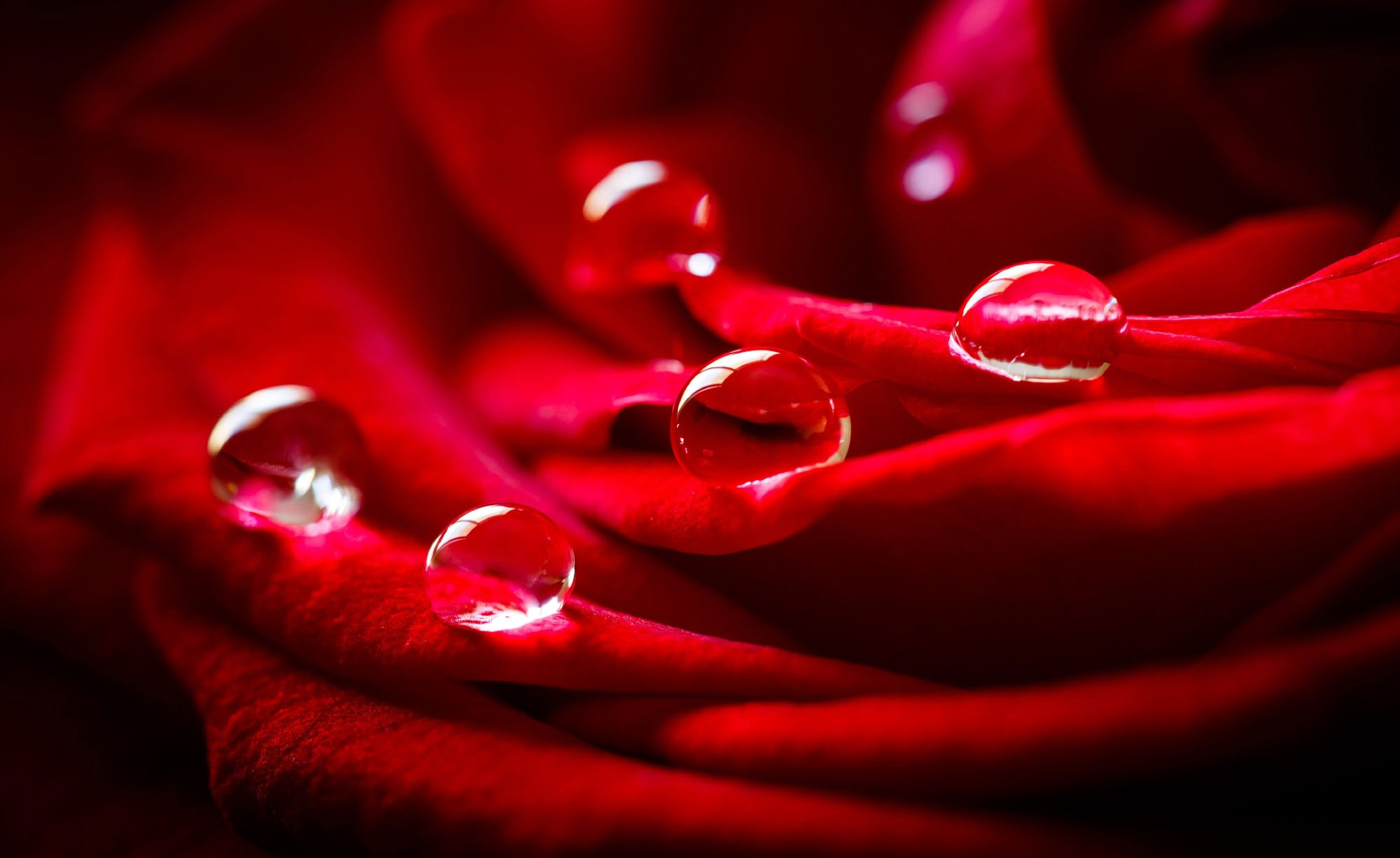 свадебный фотограф Геленджик