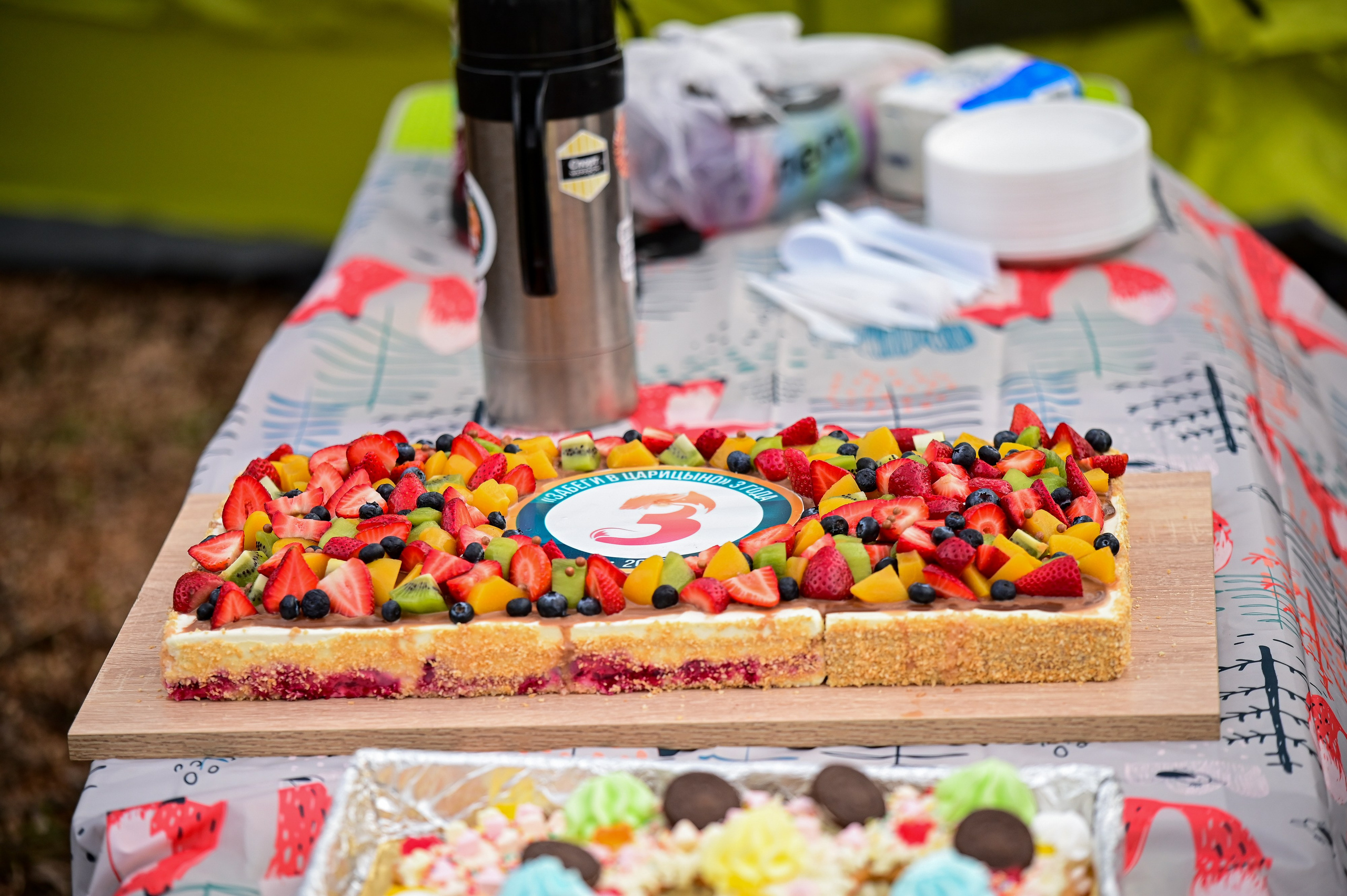 ЗабегИ в Царицыно. 3 года. Фотограф | Ирина Гамзинова | Москва