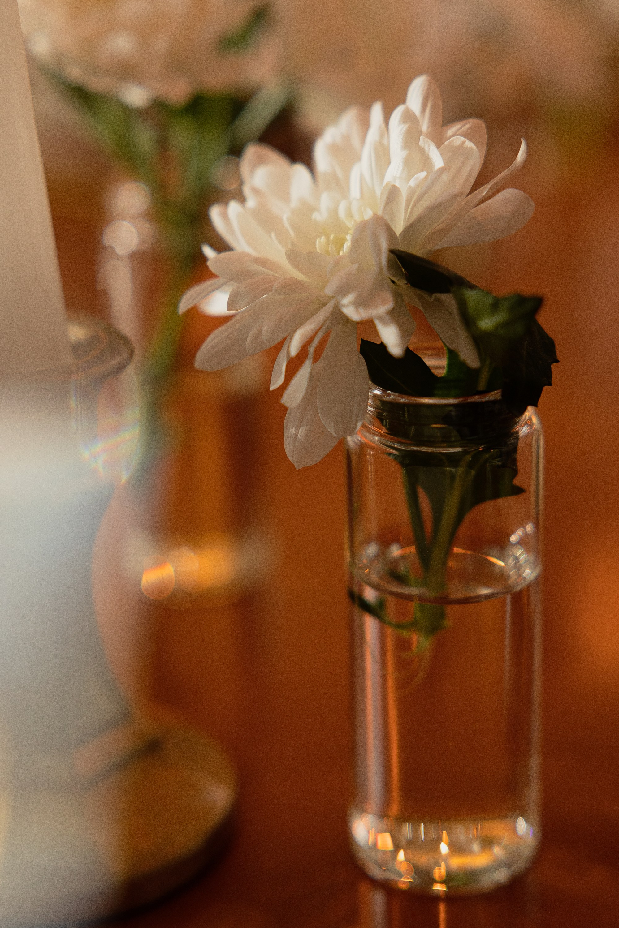 Ангелина & Никита. Свадебный фотограф в Москве и Санкт-Петербурге Анастасия Мирославская